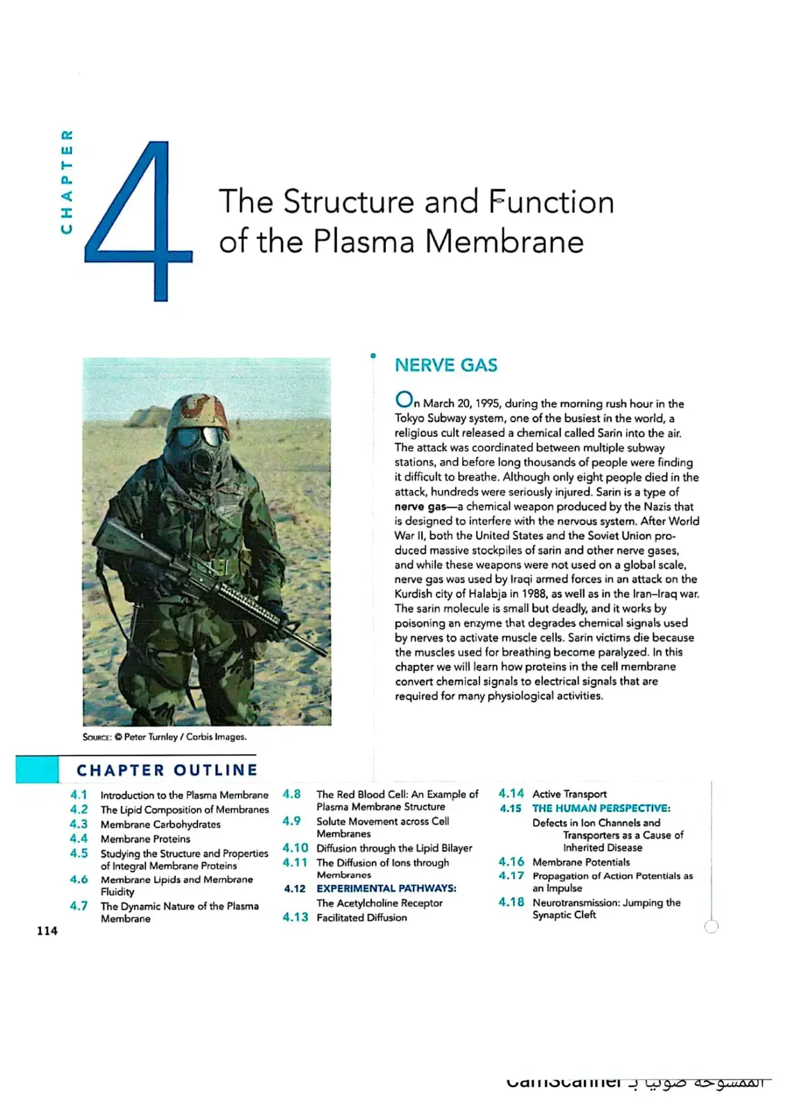 غلاف كتاب The Structure and Function of the Plasma Membrane (Chapter 14)