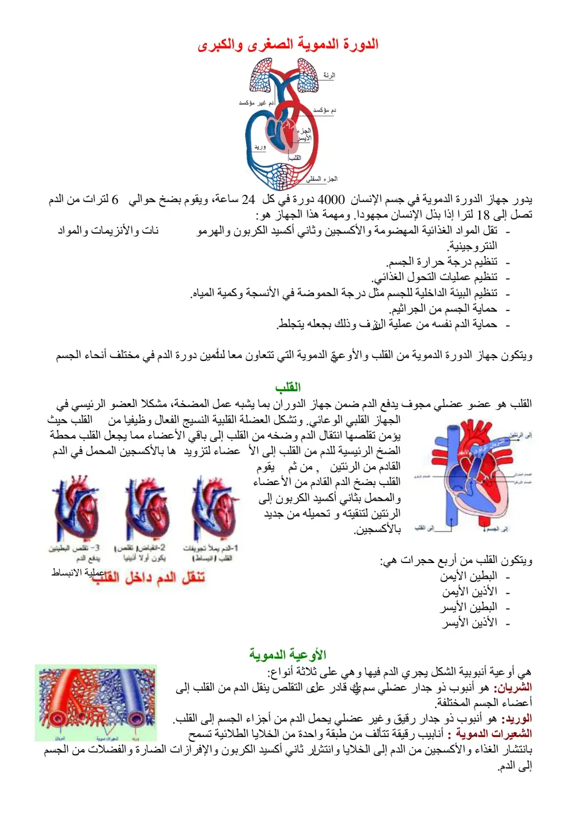 غلاف كتاب الدورة الدموية الصغرى والكبرى