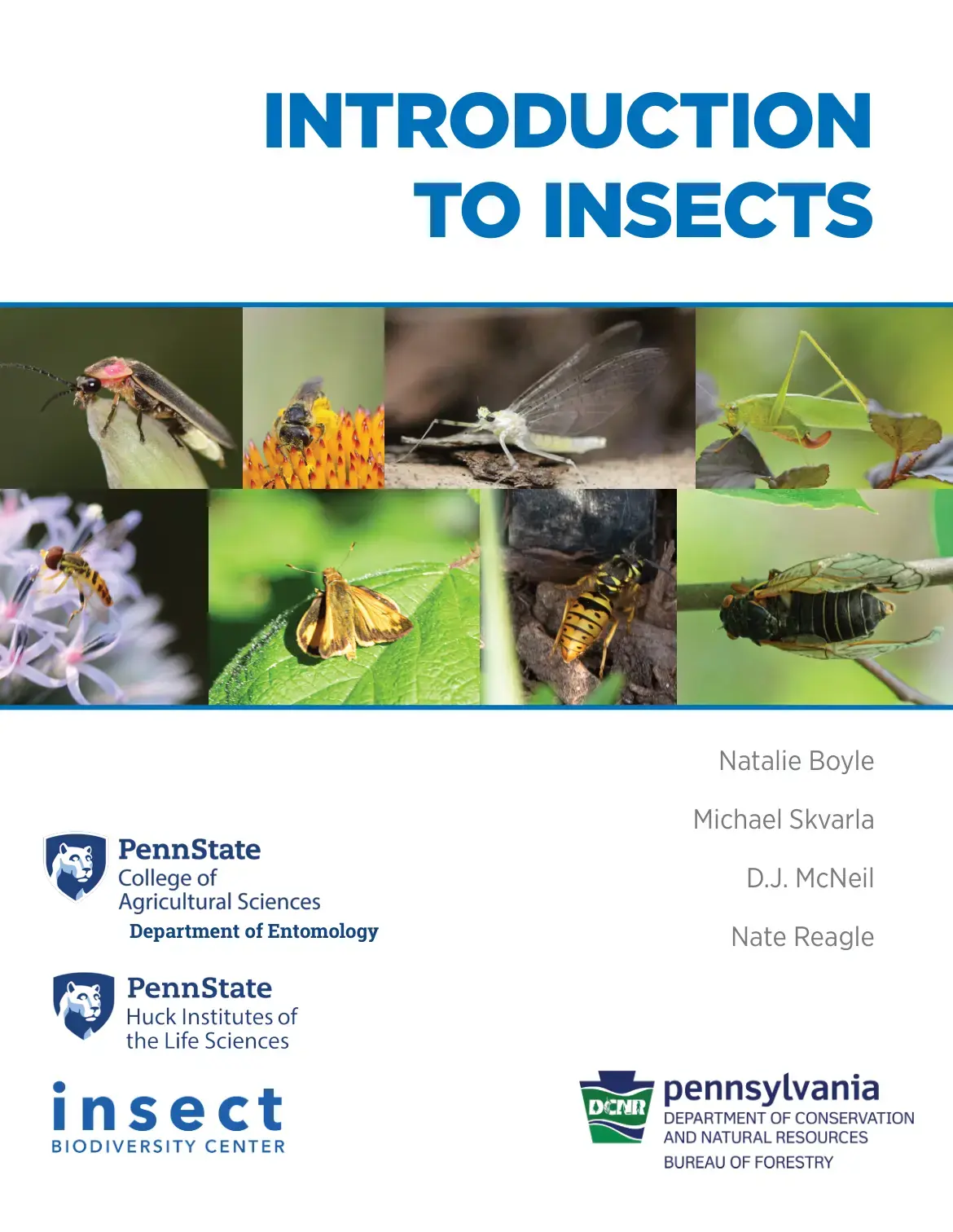 غلاف كتاب Introduction to Insects