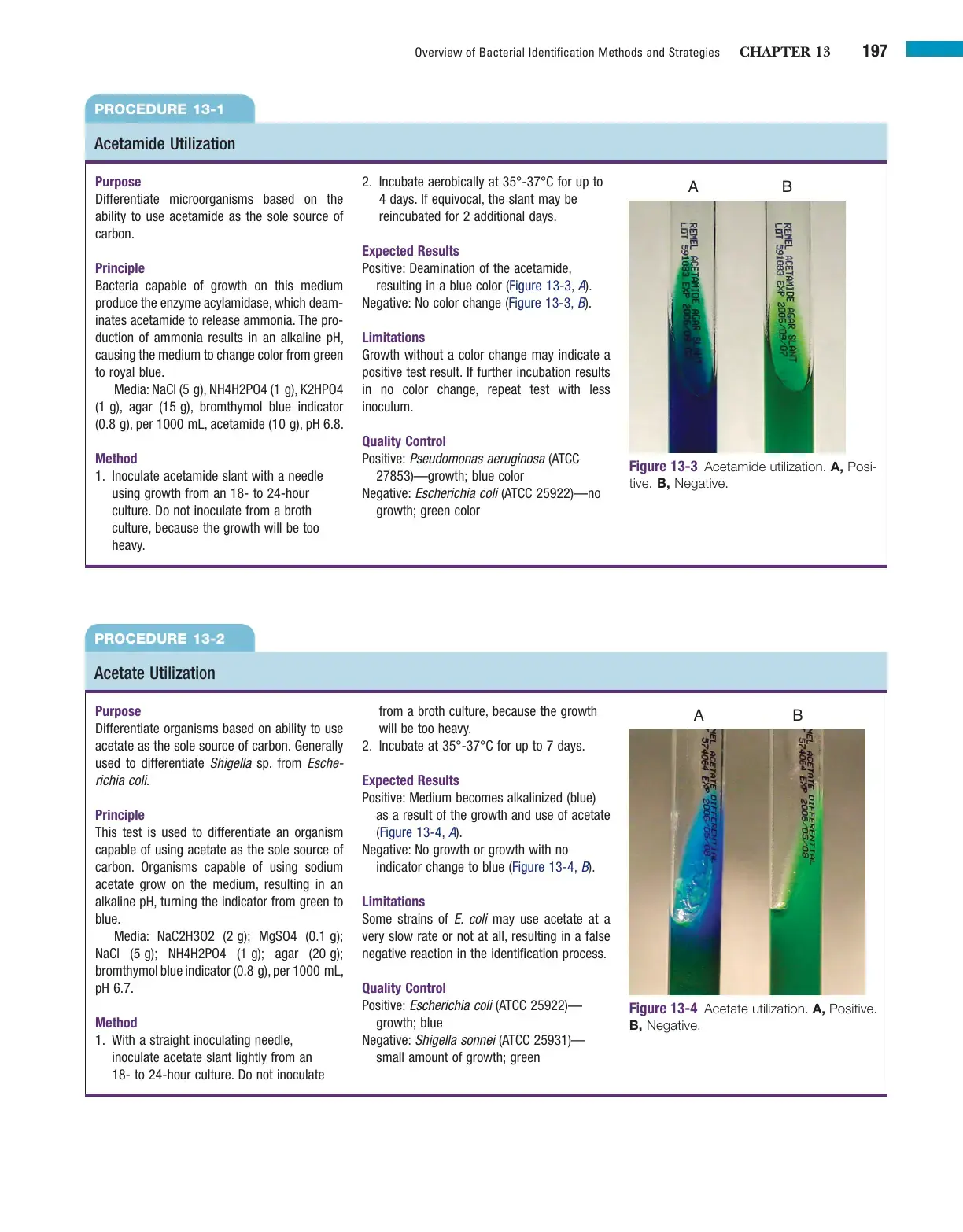غلاف كتاب Overview of Bacterial Identification Methods and Strategies