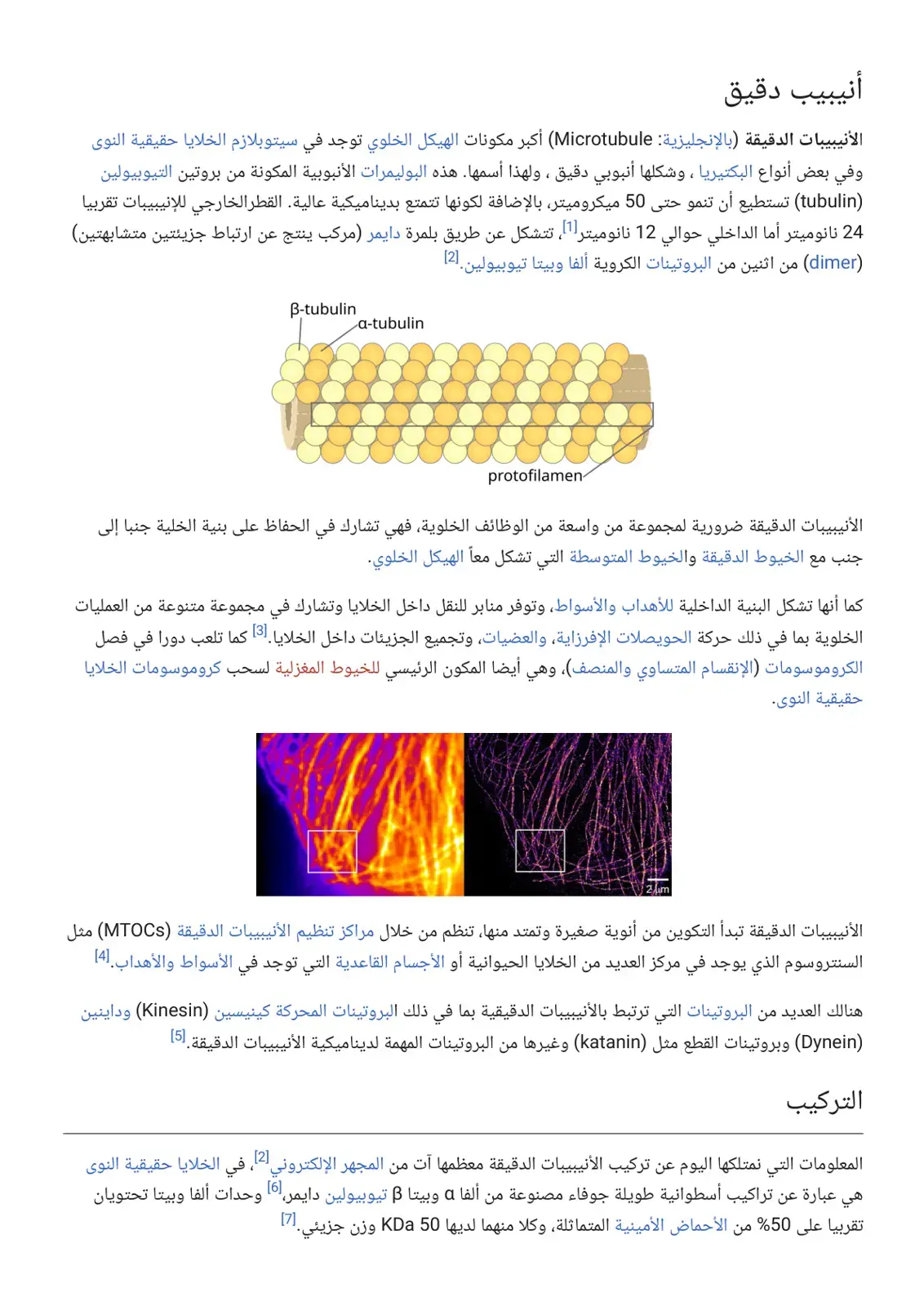 غلاف كتاب أنيبيب دقيق