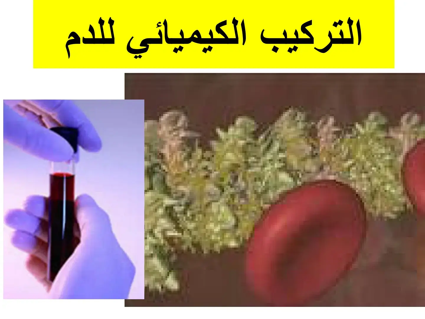 غلاف كتاب التركيب الكيميائي للدم