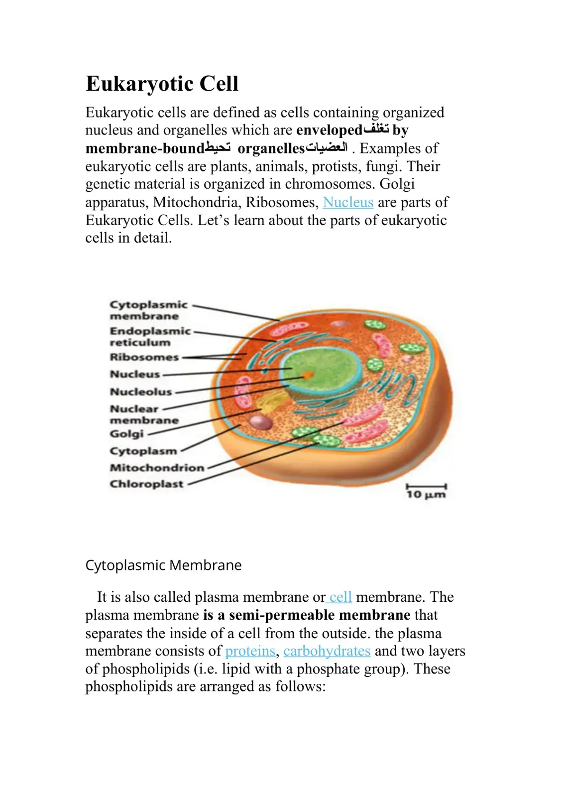 غلاف كتاب Eukaryotic Cell