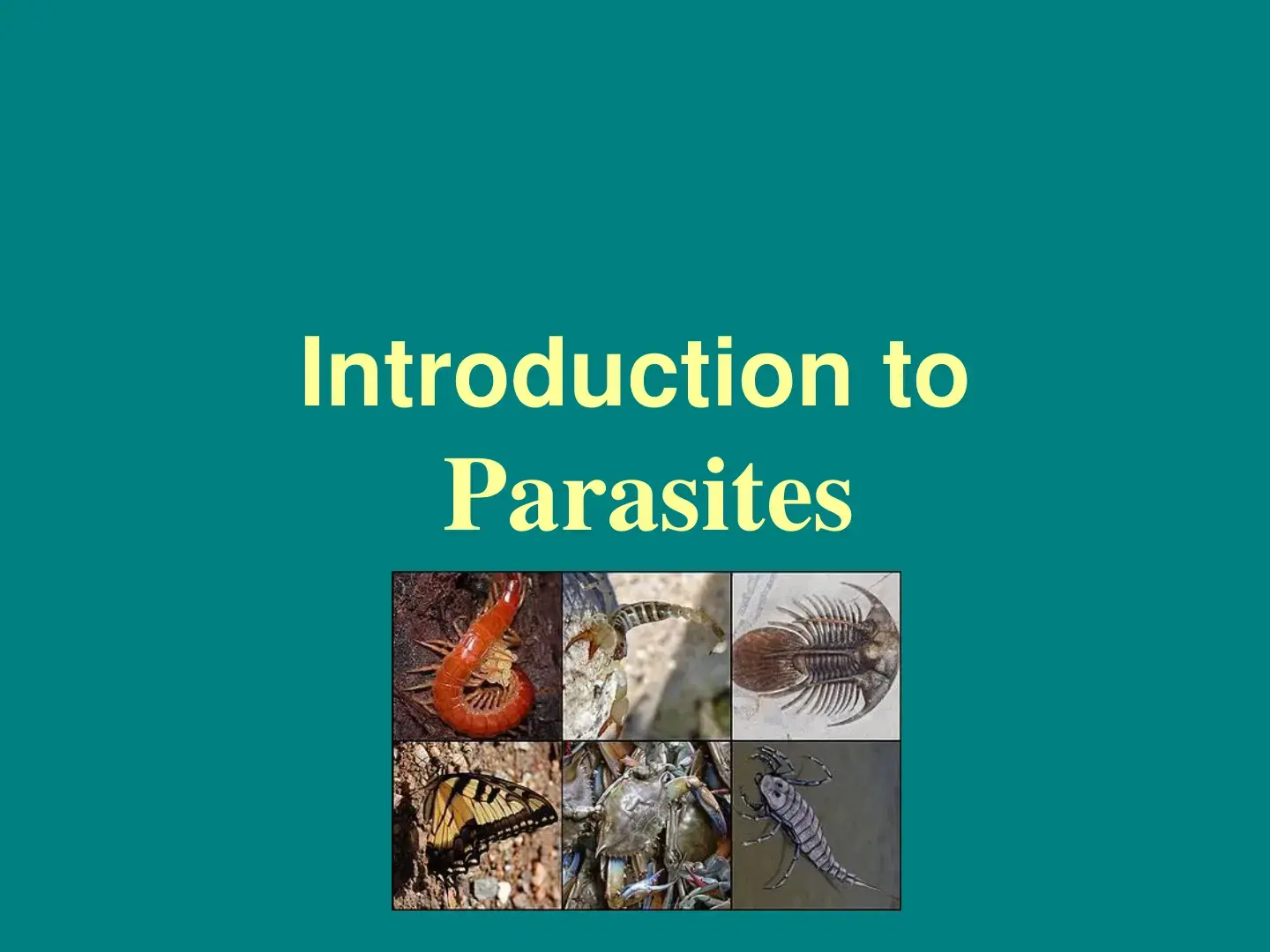 غلاف كتاب Introduction to Parasites