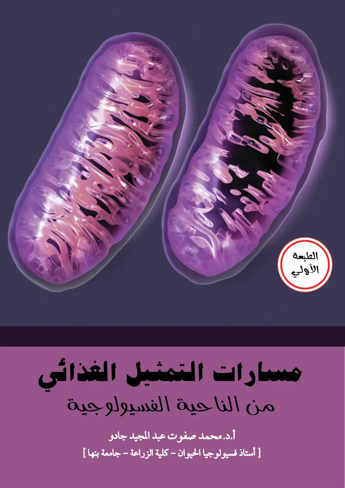 غلاف كتاب مسارات التمثيل الغذائي من الناحية الفسيولوجية