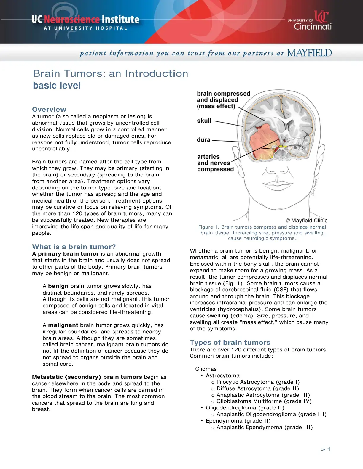 غلاف كتاب Brain Tumors: An Introduction
