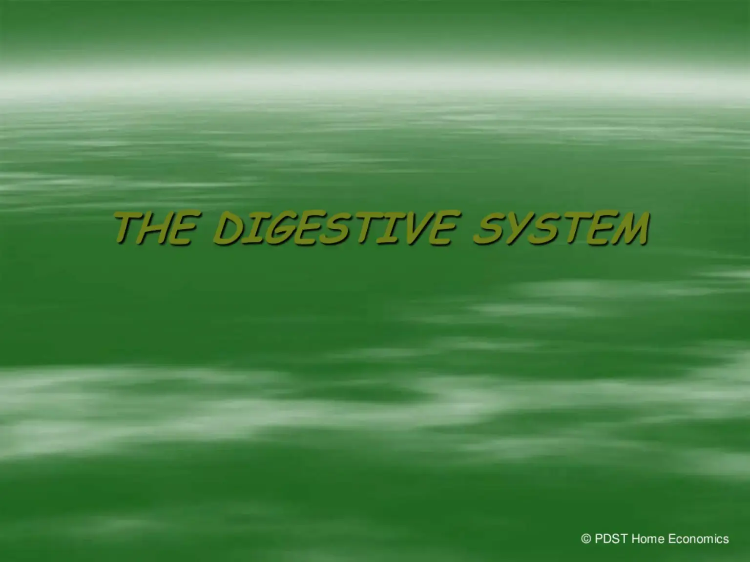 غلاف كتاب THE DIGESTIVE SYSTEM