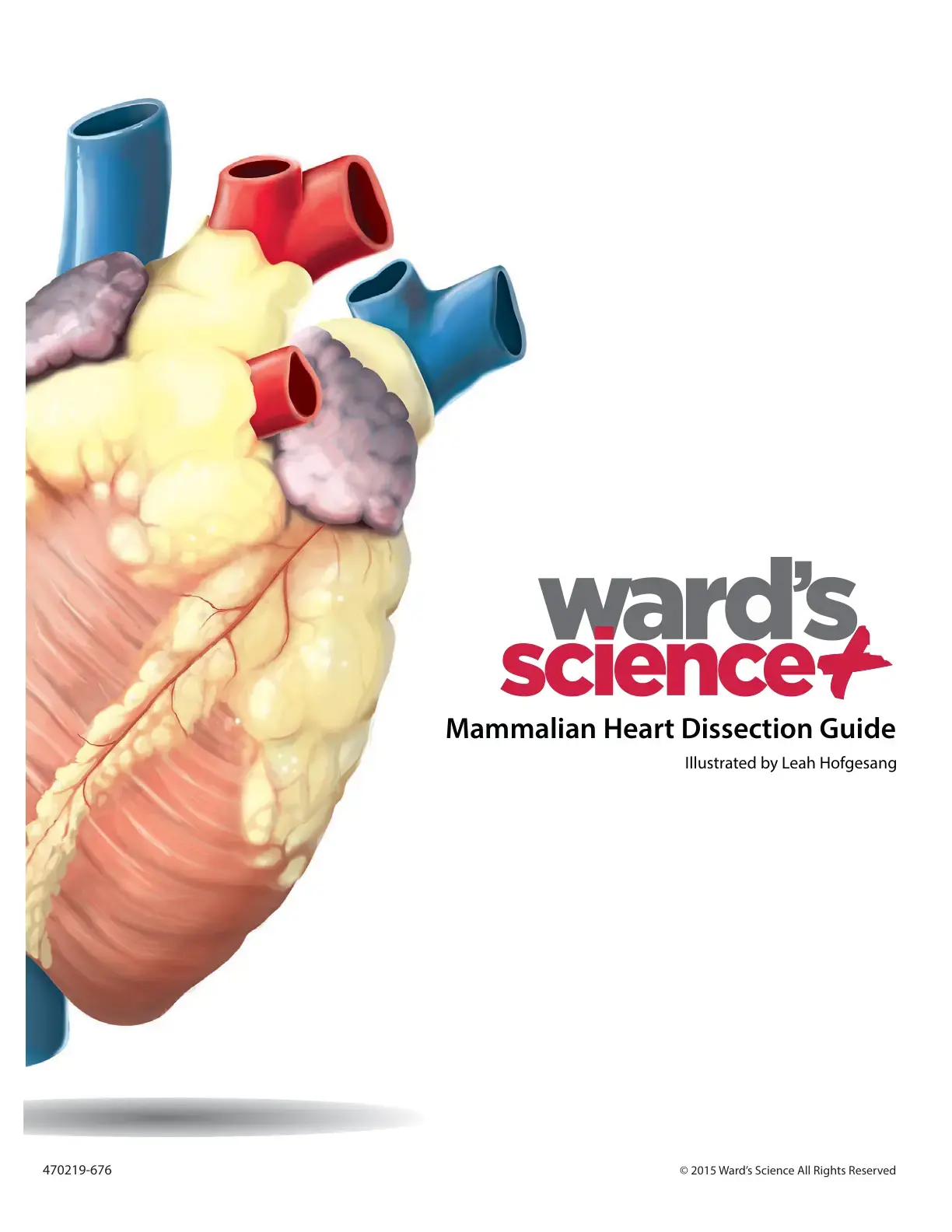 غلاف كتاب Mammalian Heart Dissection Guide