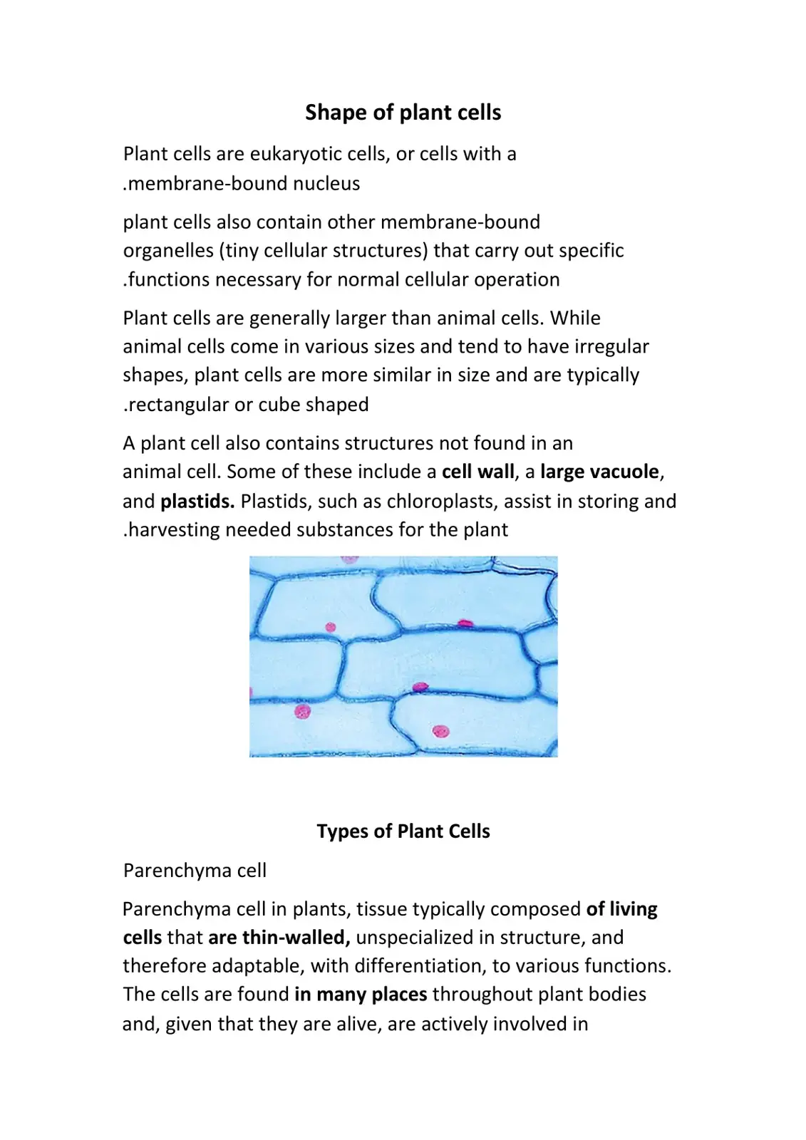 غلاف كتاب Shape of plant cells