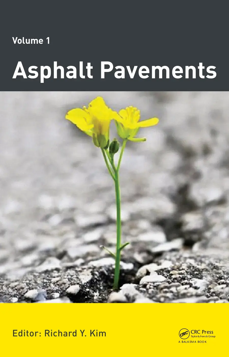 غلاف كتاب Asphalt Pavements