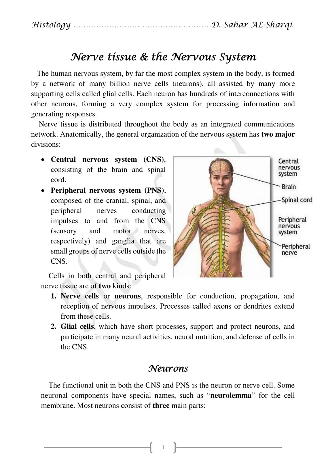 غلاف كتاب Histology: Nerve Tissue & the Nervous System