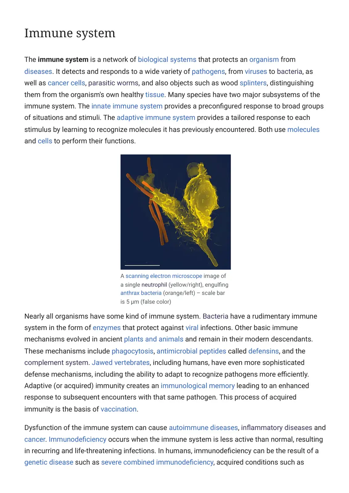 غلاف كتاب The Immune System