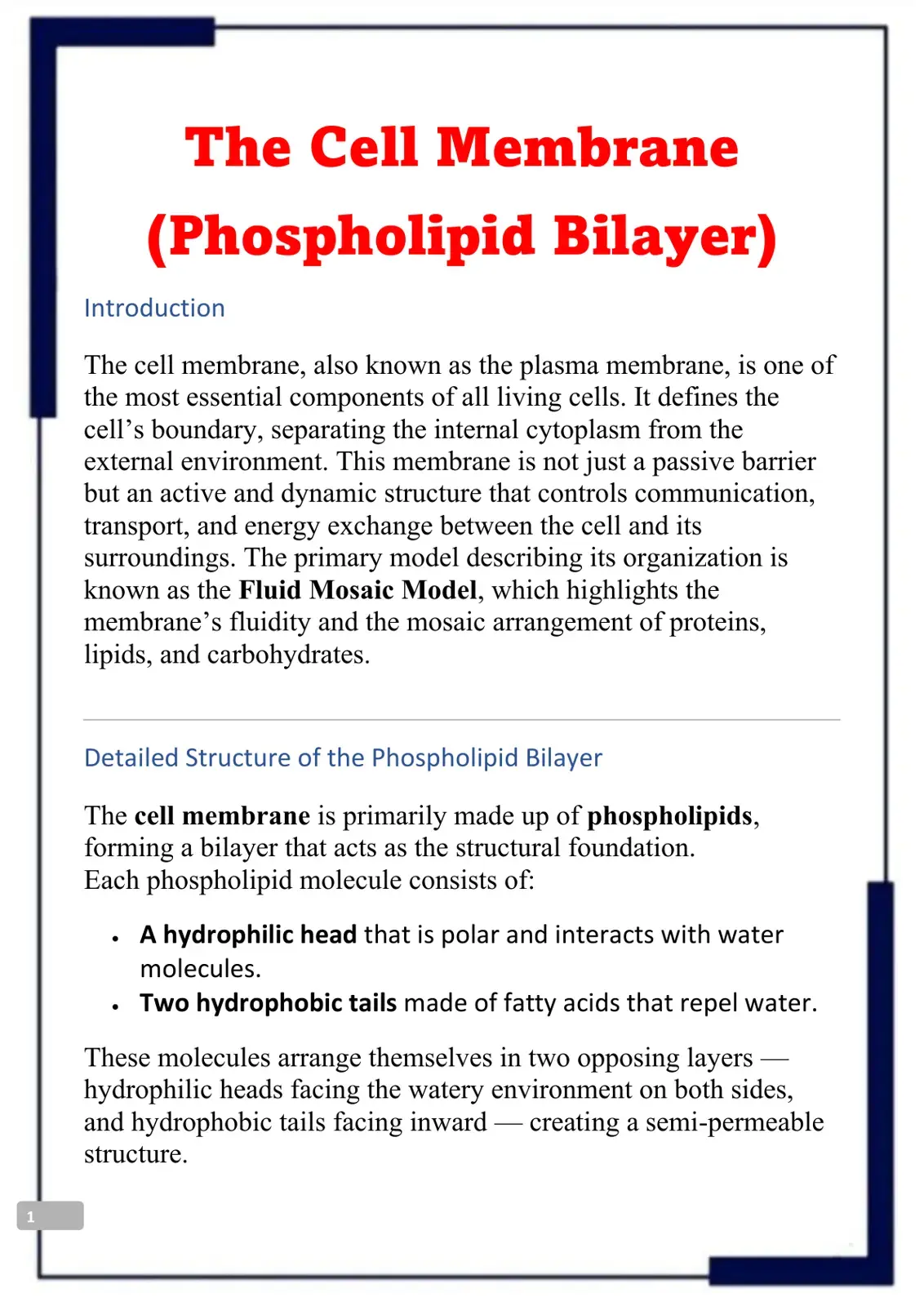غلاف كتاب The Cell Membrane (Phospholipid Bilayer)