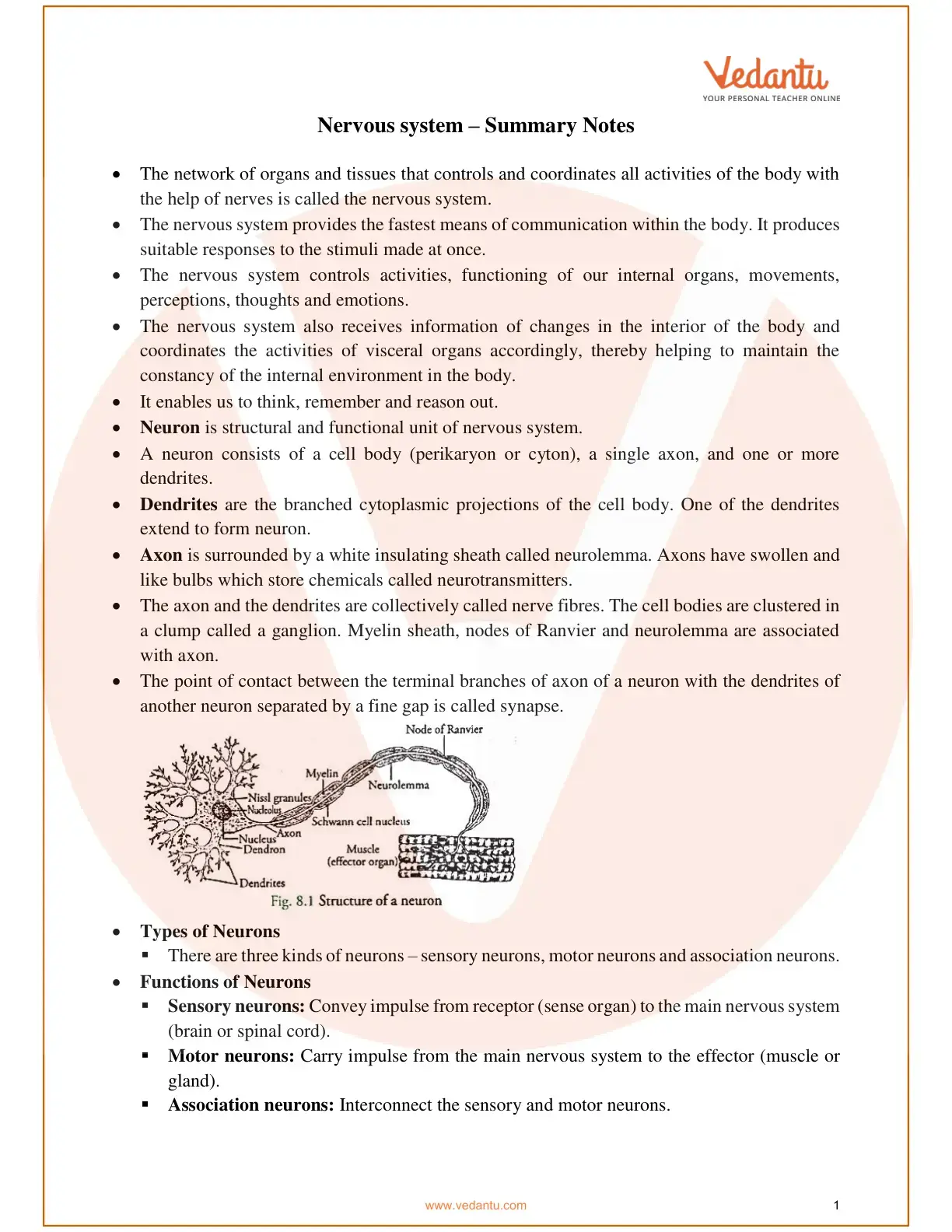 غلاف كتاب Nervous System - Summary Notes
