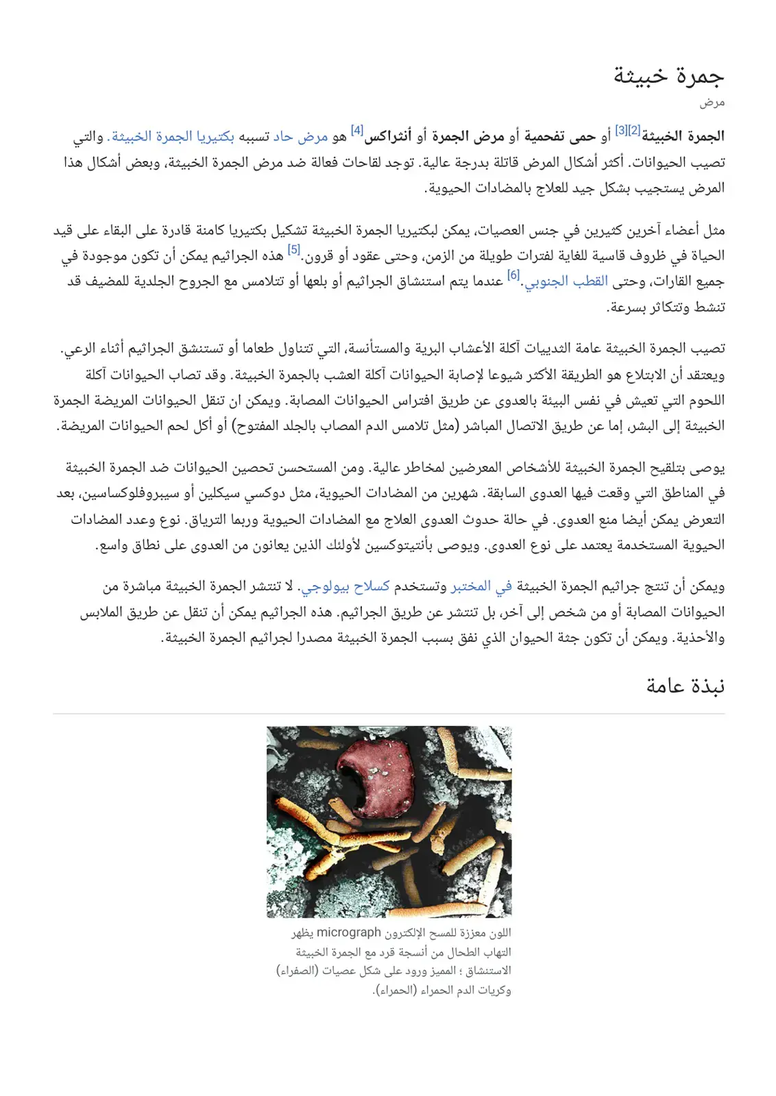 غلاف كتاب جمرة خبيثة