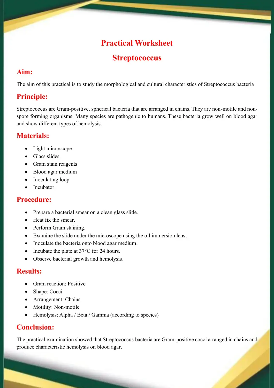 غلاف كتاب Practical Worksheet: Streptococcus