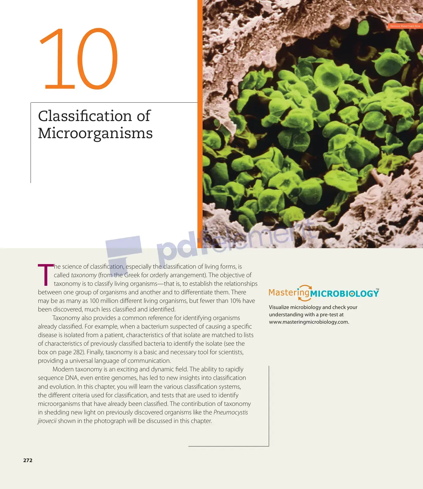 غلاف كتاب Classification of Microorganisms
