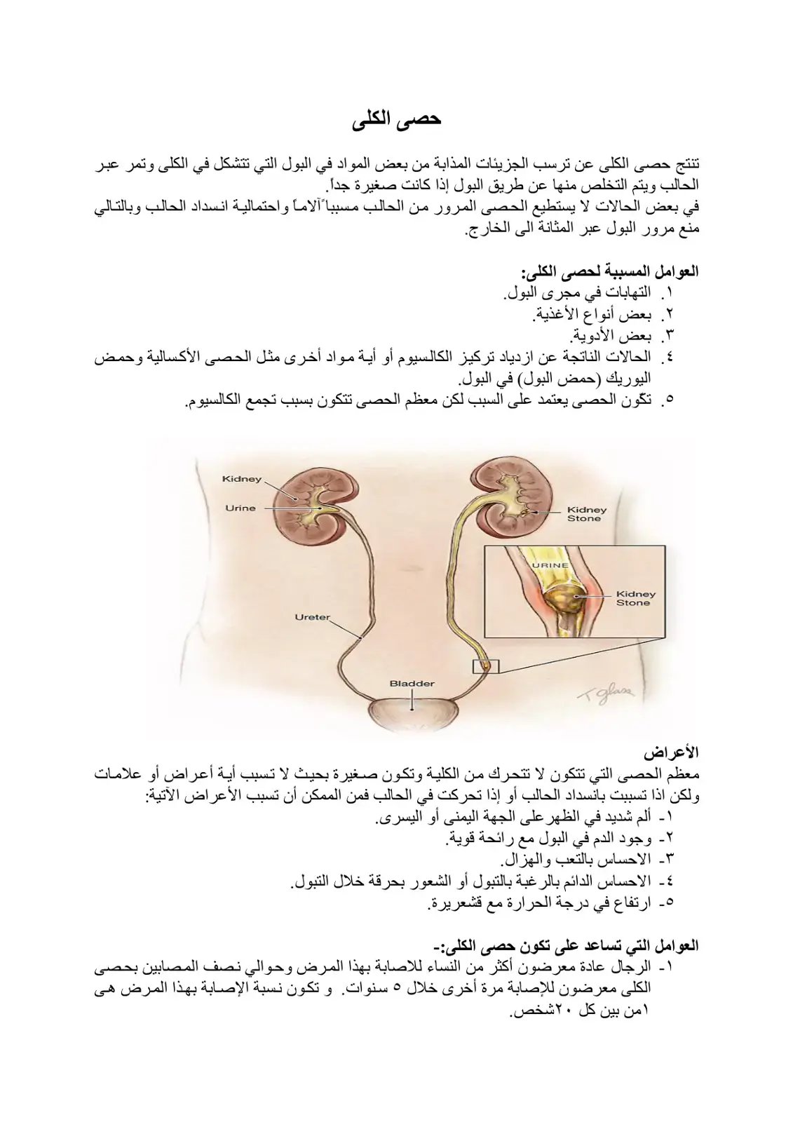 غلاف كتاب حصى الكلى