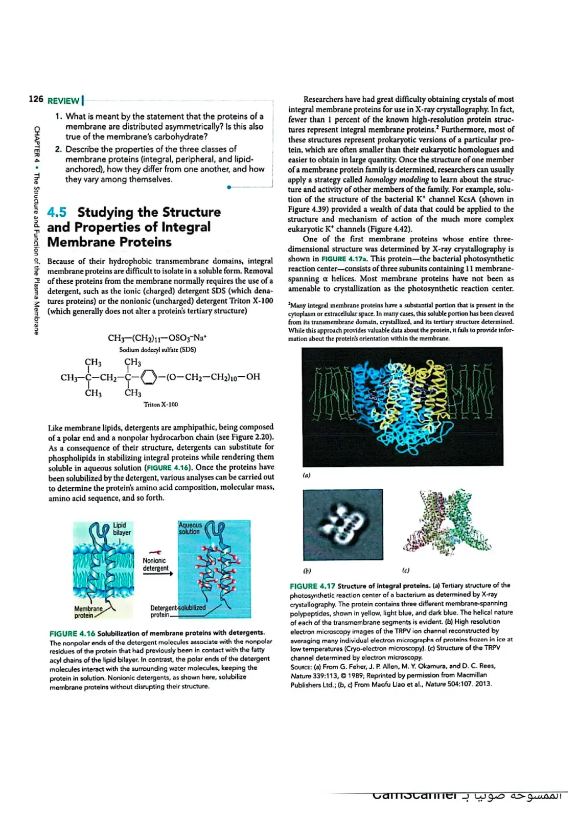غلاف كتاب CHAPTER 4 The Structure and Function of the Plasma Membrane