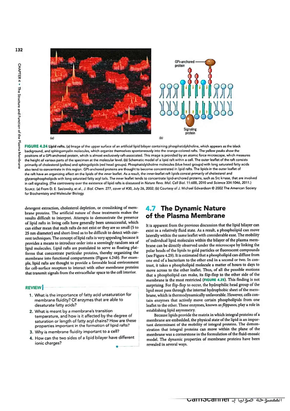 غلاف كتاب CHAPTER 4 The Structure and Function of the Plasma Membrane
