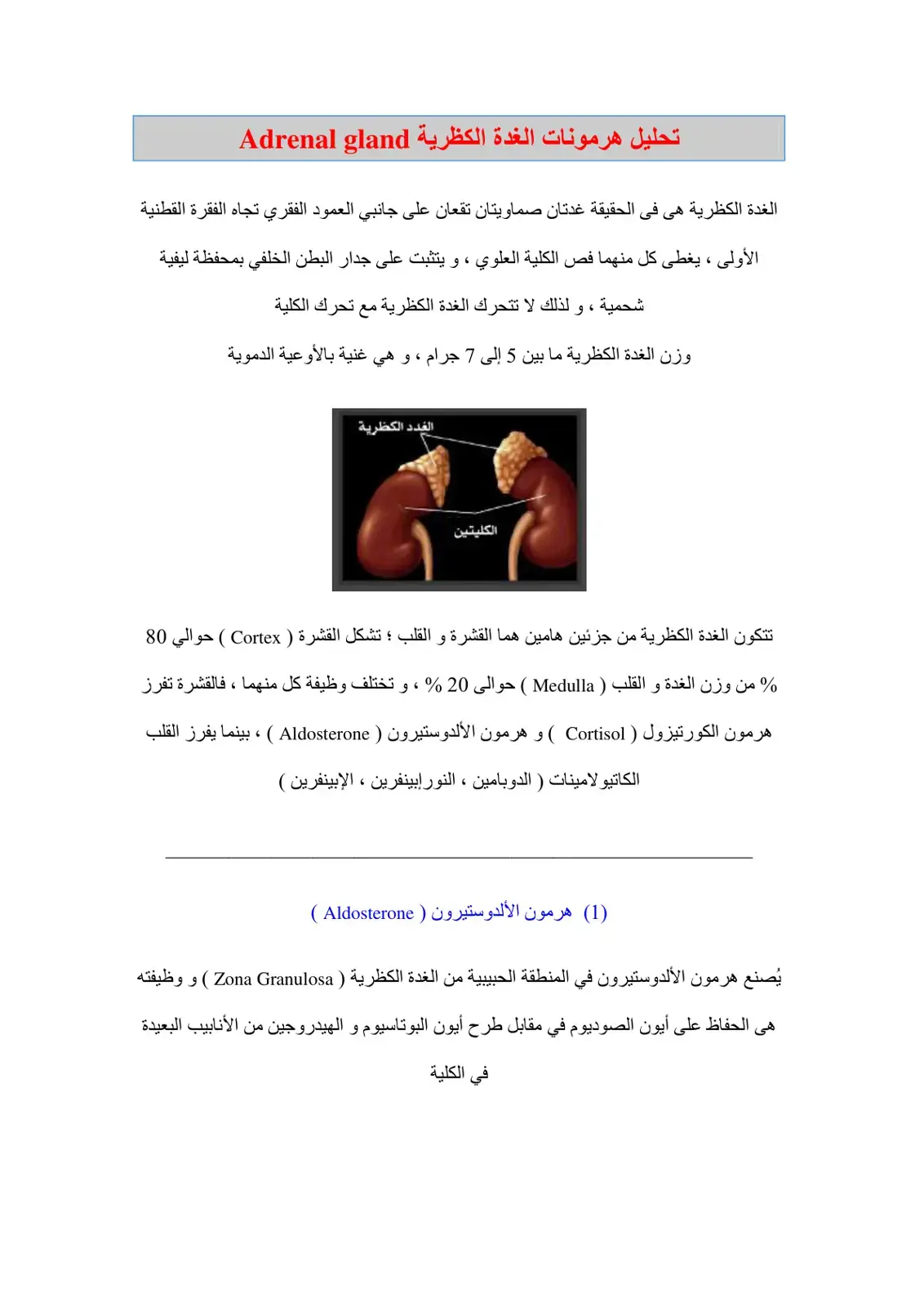 غلاف كتاب تحليل هرمونات الغدة الكظرية Adrenal Gland