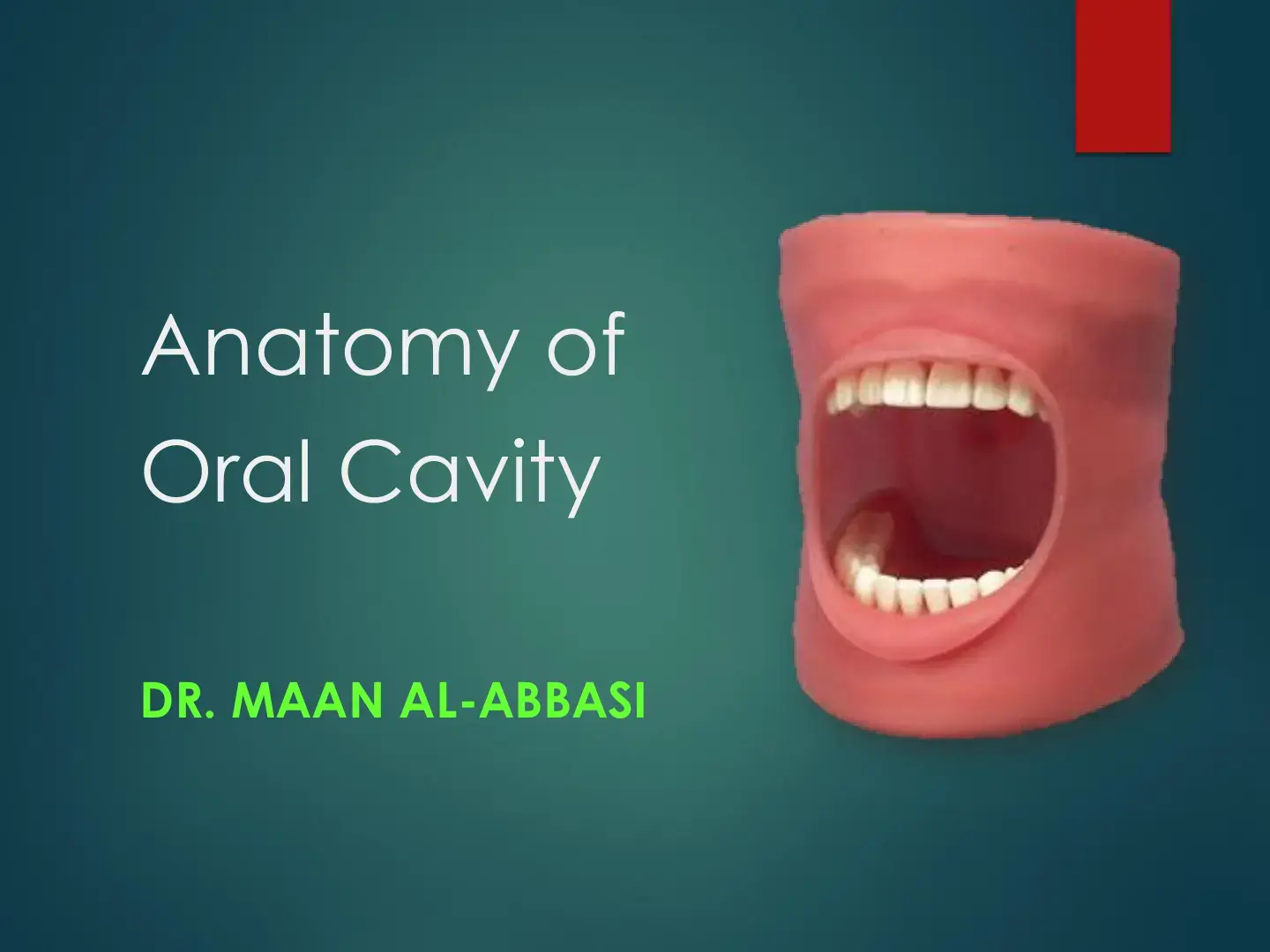 غلاف كتاب Anatomy of Oral Cavity
