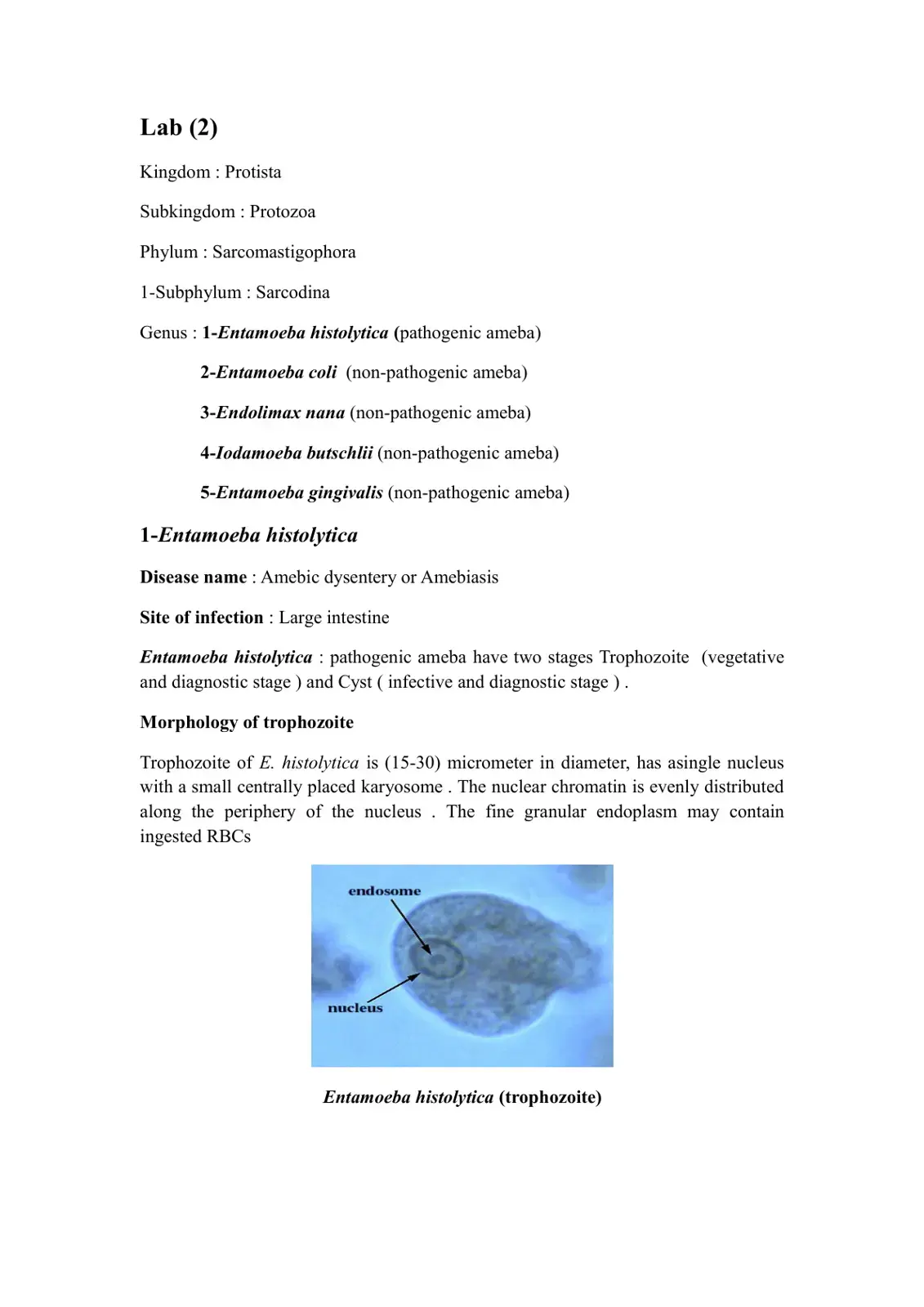 غلاف كتاب Lab (2) – Kingdom Protista, Subkingdom Protozoa