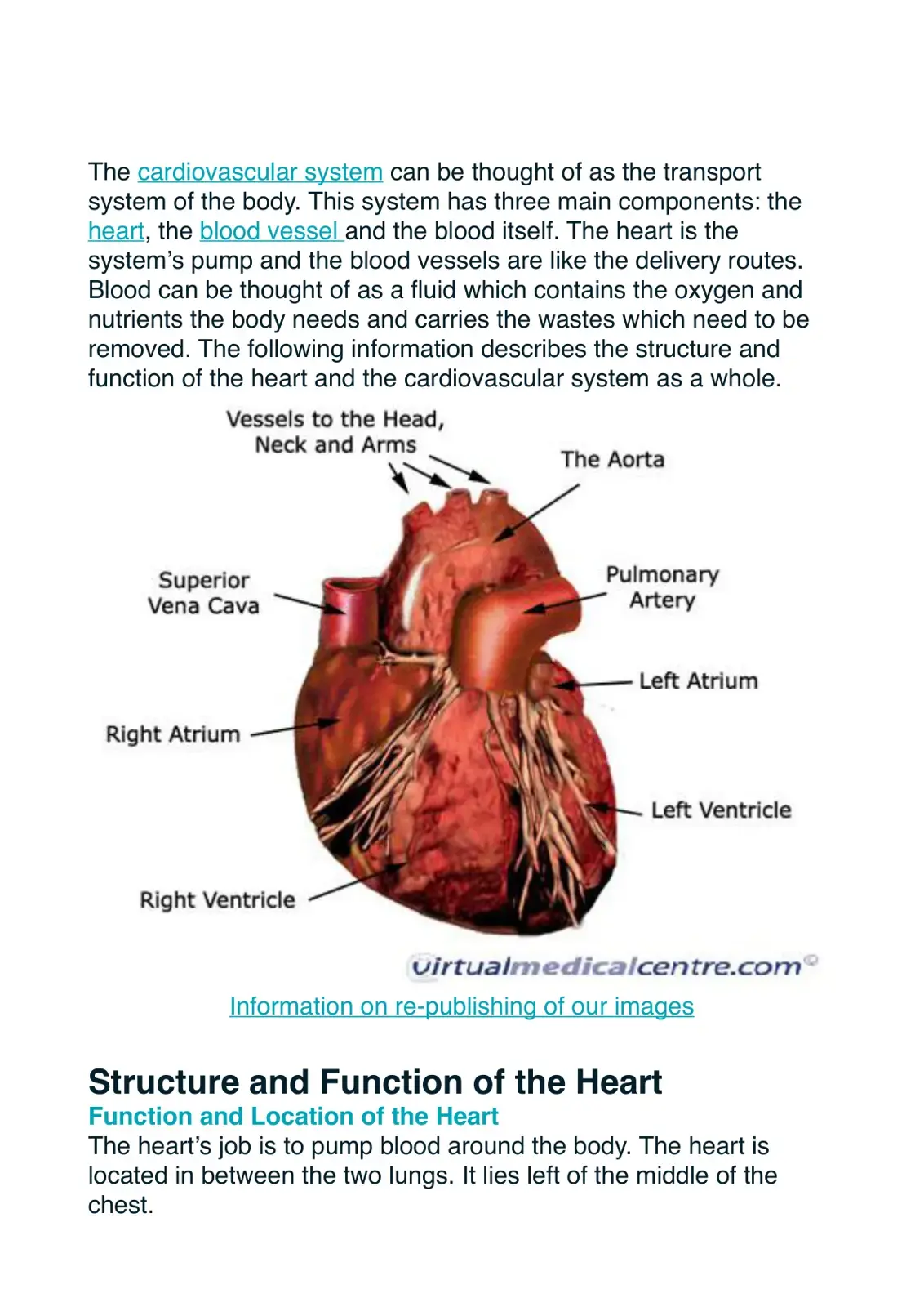 غلاف كتاب The Cardiovascular System