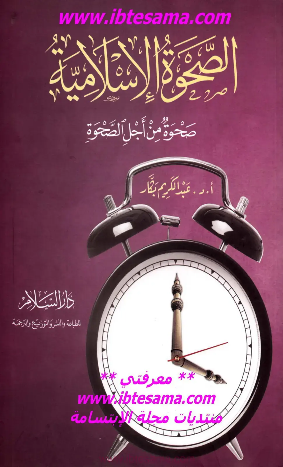 غلاف كتاب الصحوة الإسلامية: صحوة من أجل الصحوة
