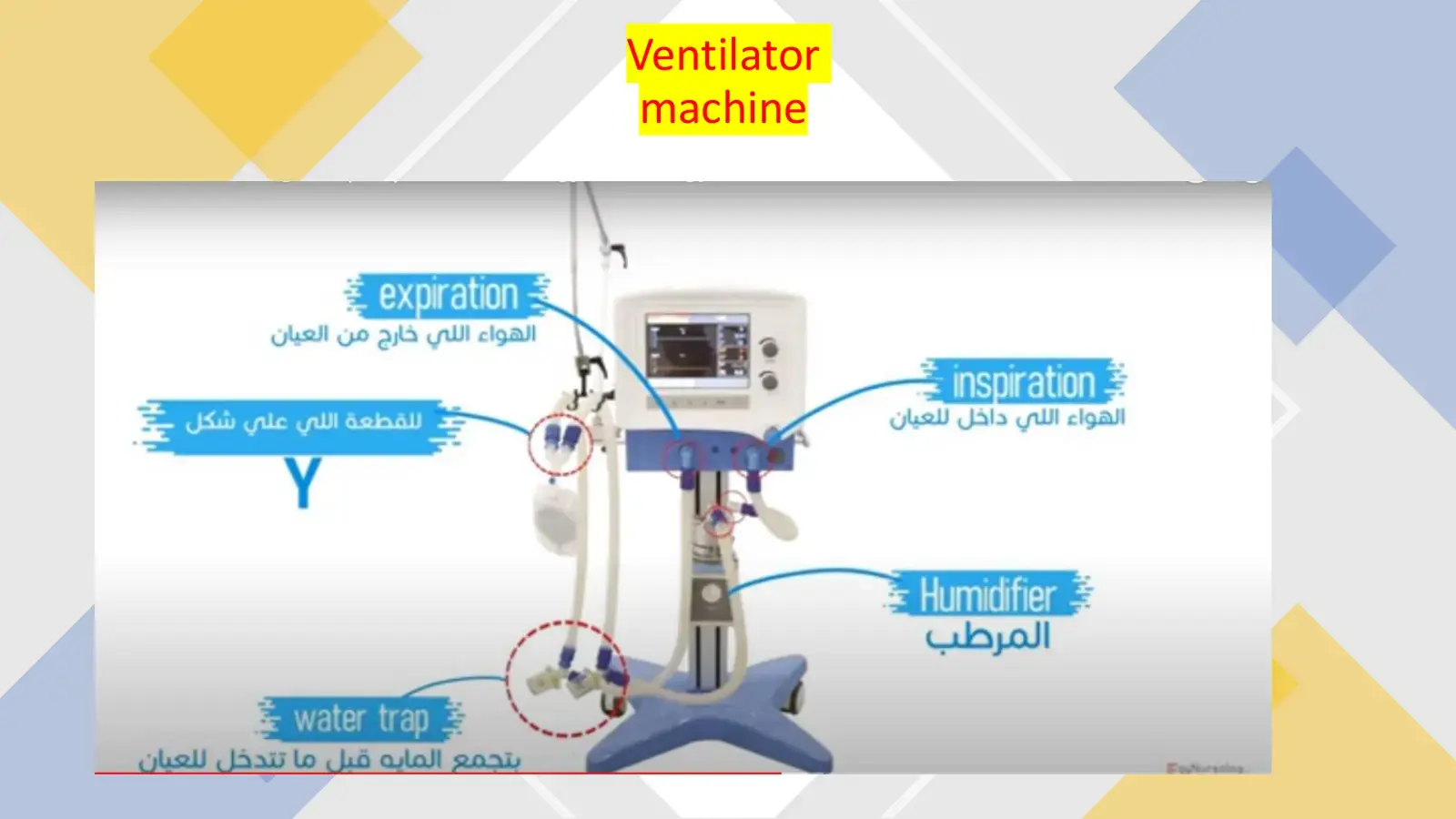 غلاف كتاب Fun Nursing