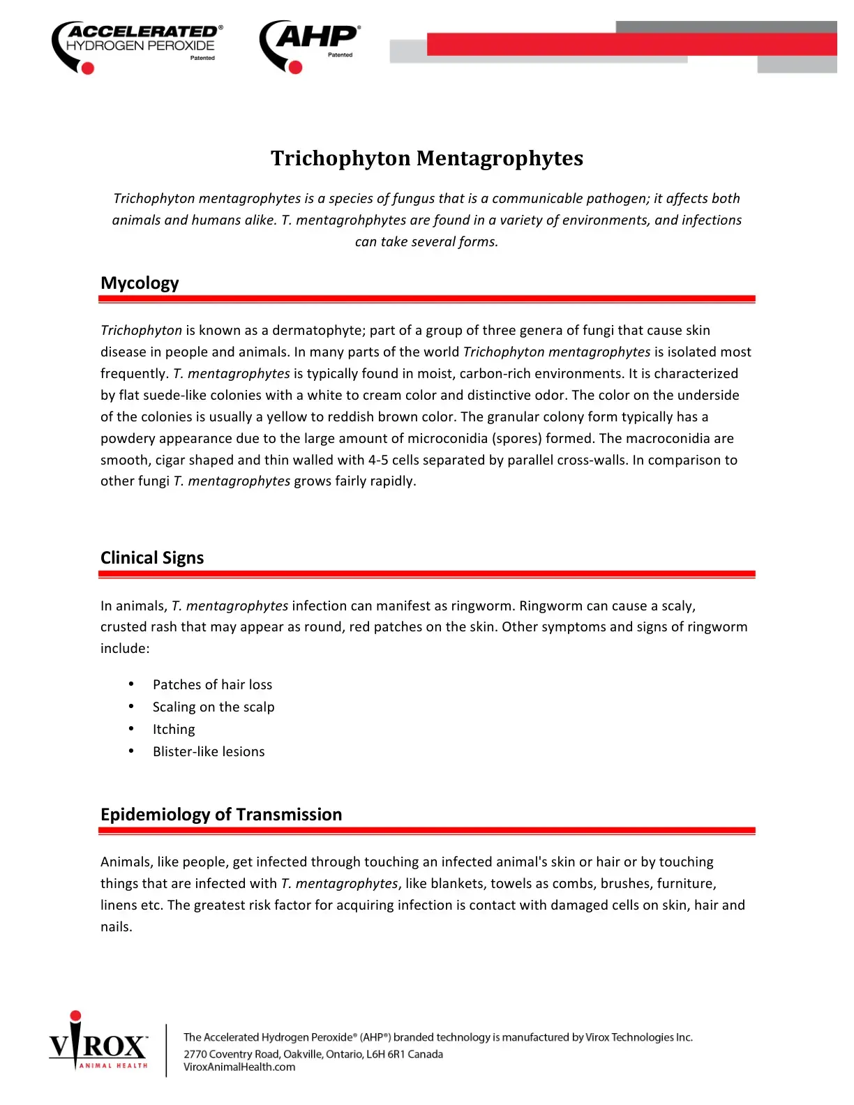 غلاف كتاب Trichophyton Mentagrophytes