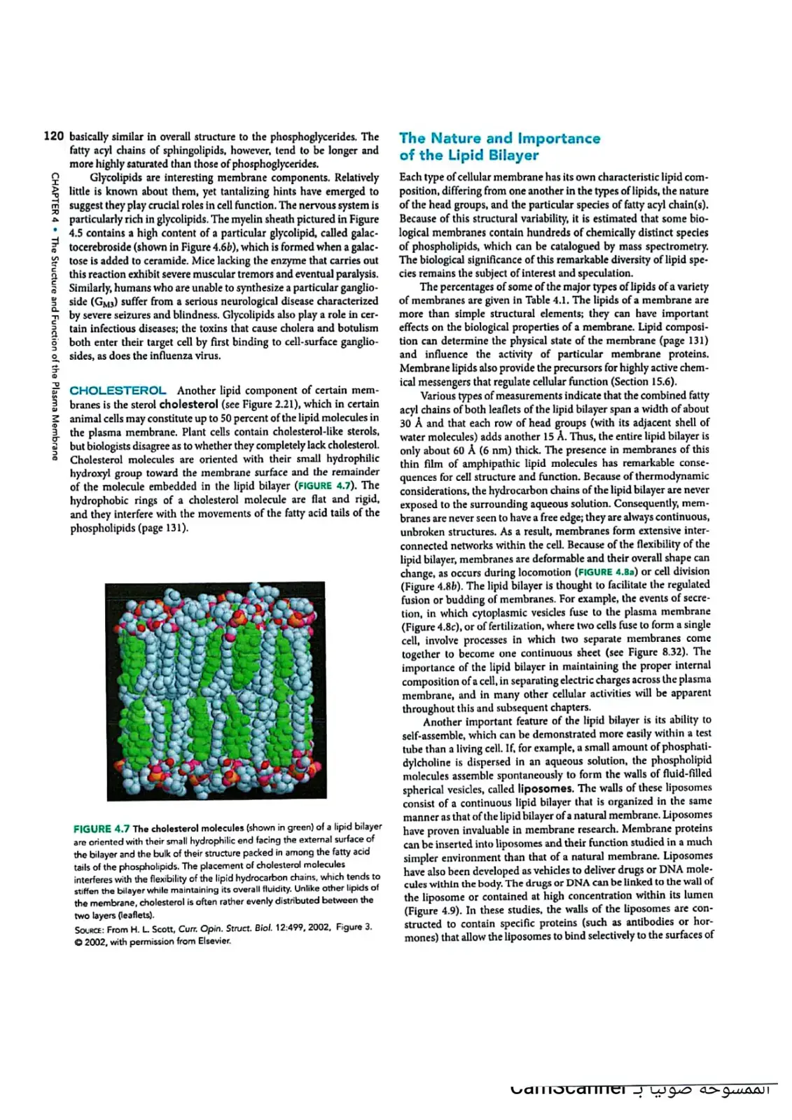 غلاف كتاب CHAPTER 4 The Structure and Function of the Plasma Membrane