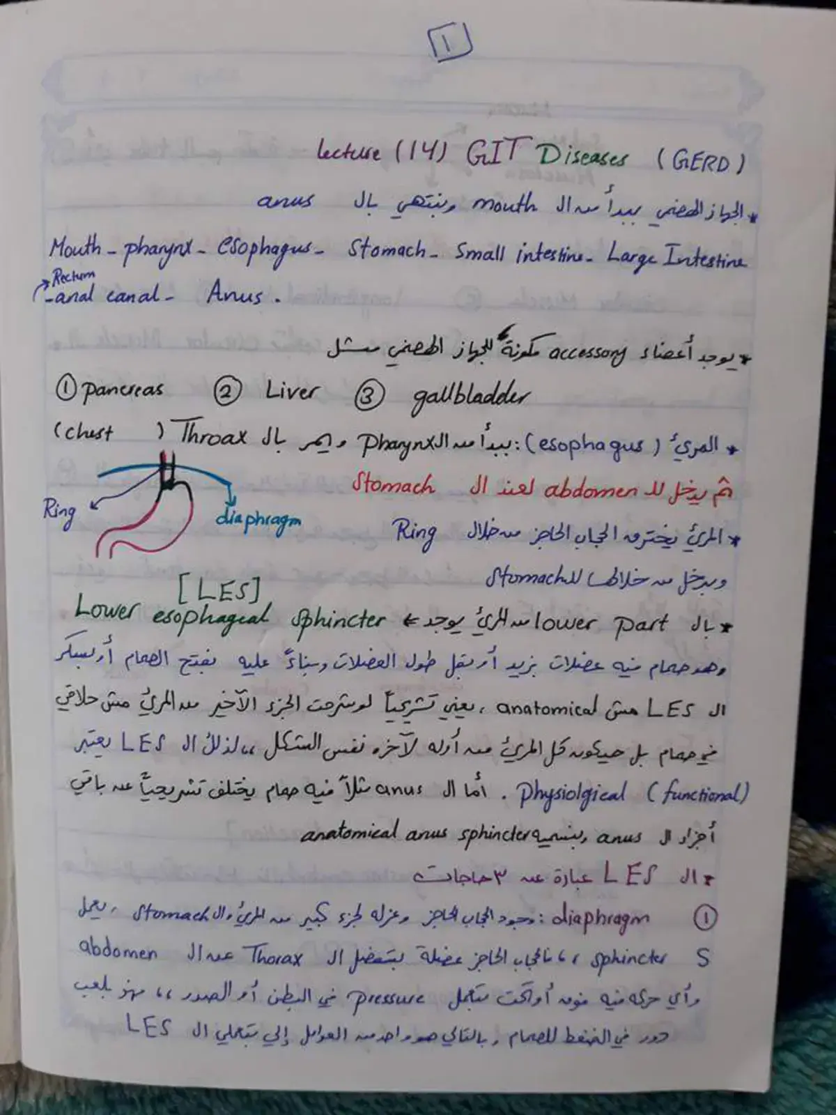 غلاف كتاب Lecture (14) GIT Diseases (GERD)