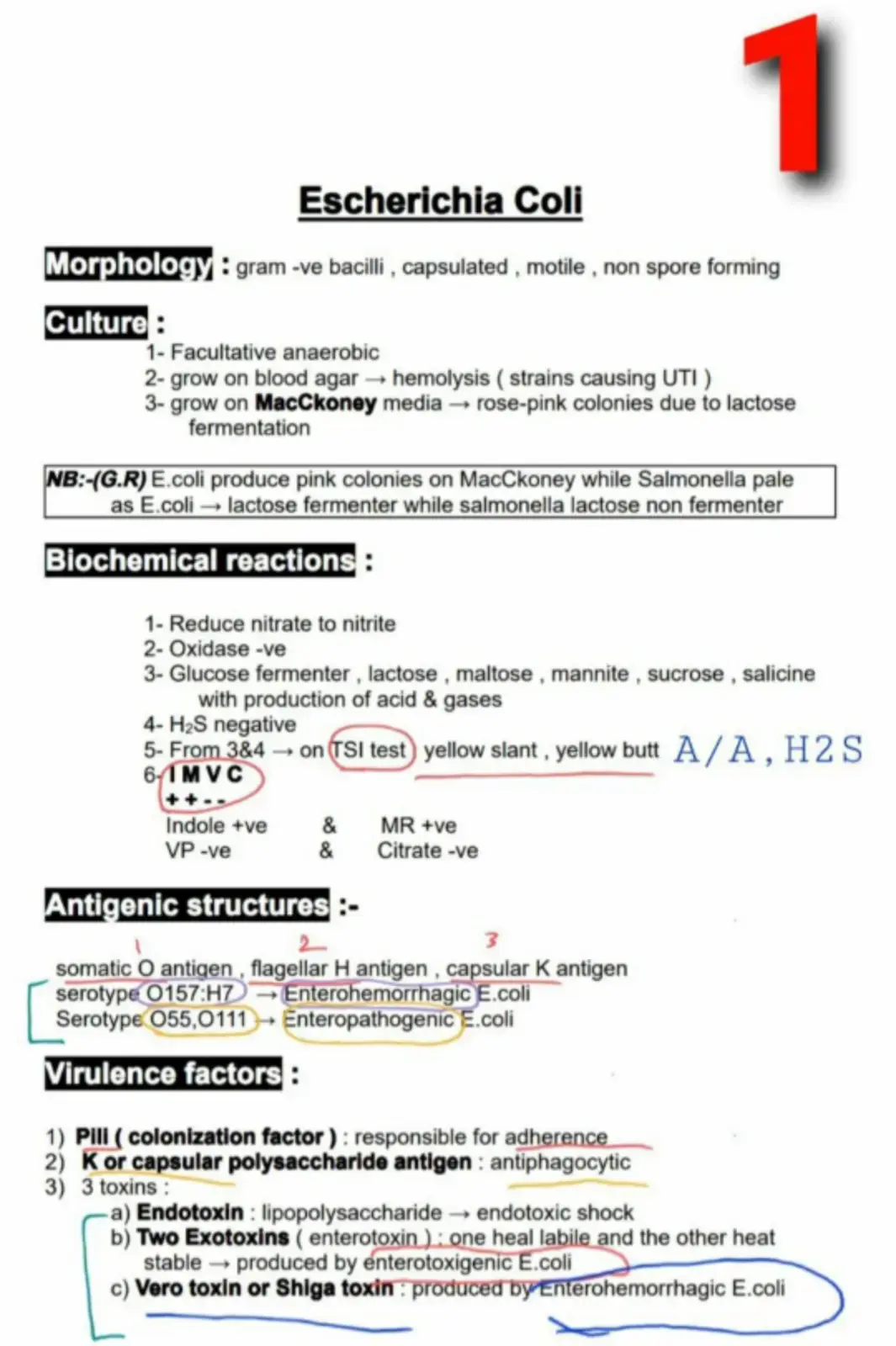 غلاف كتاب Escherichia Coli