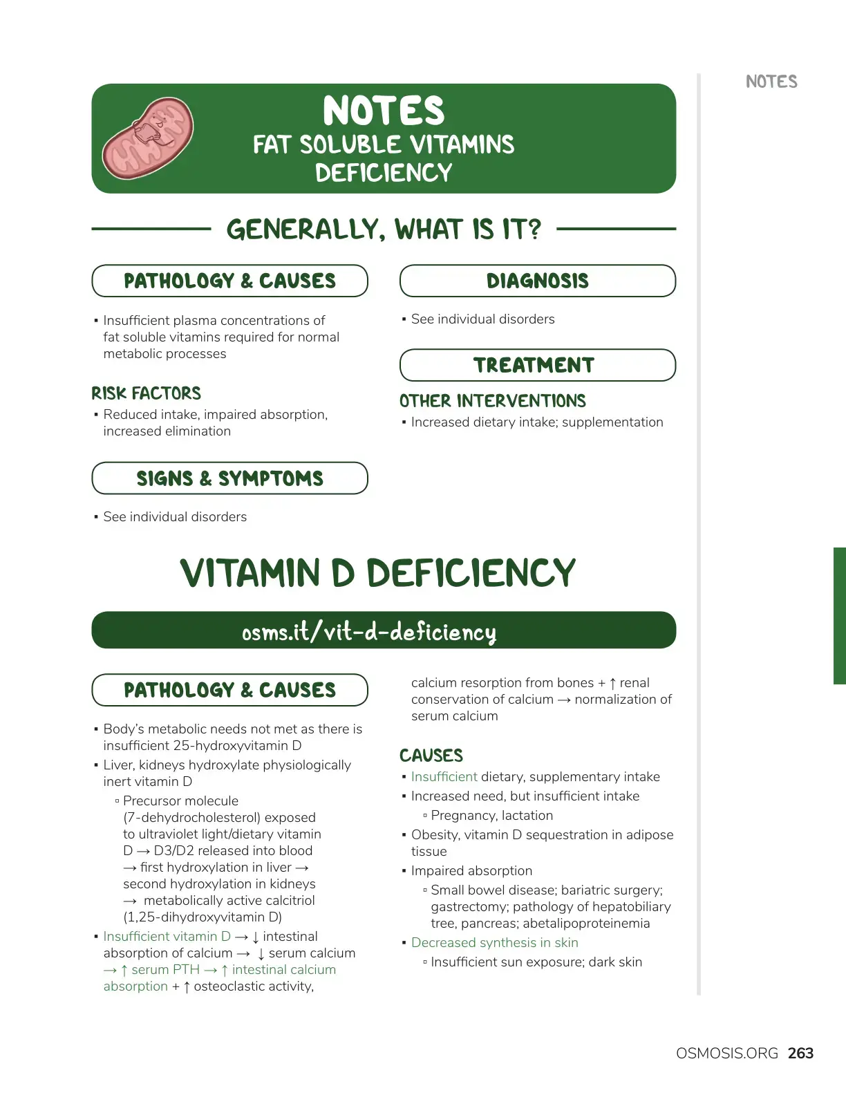 غلاف كتاب Notes: Fat Soluble Vitamins