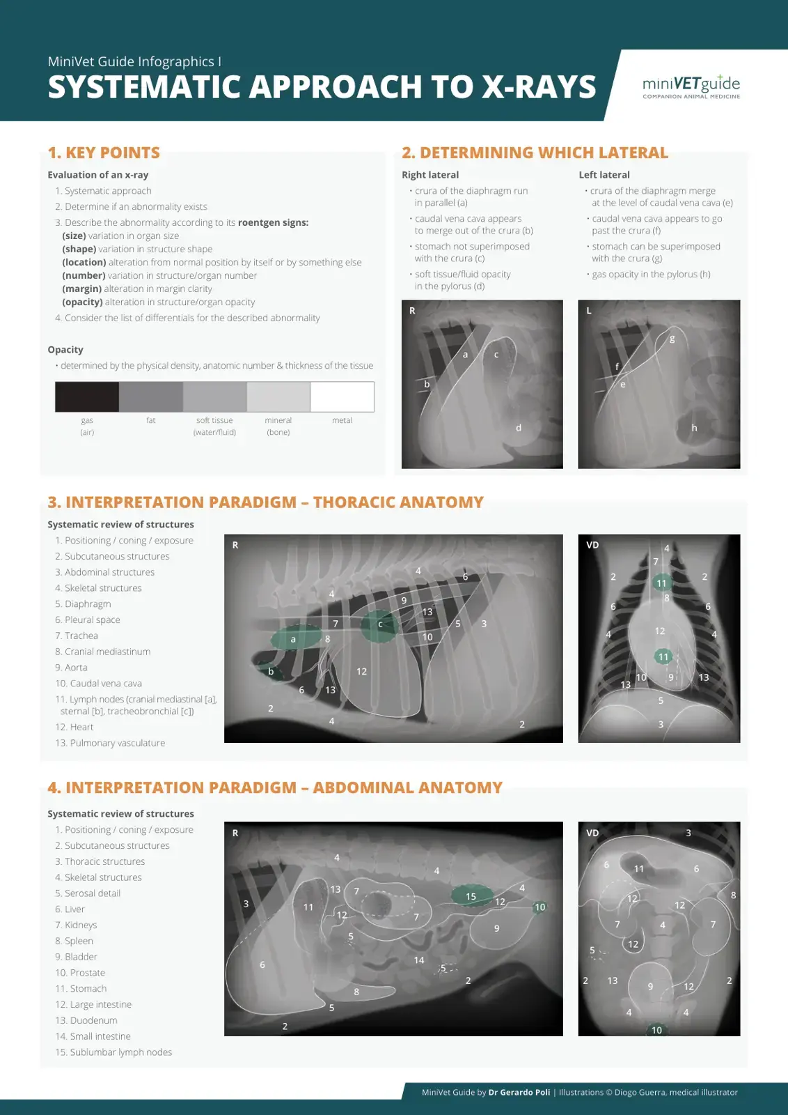 غلاف كتاب MiniVet Guide Infographics: Systematic Approach to X-rays