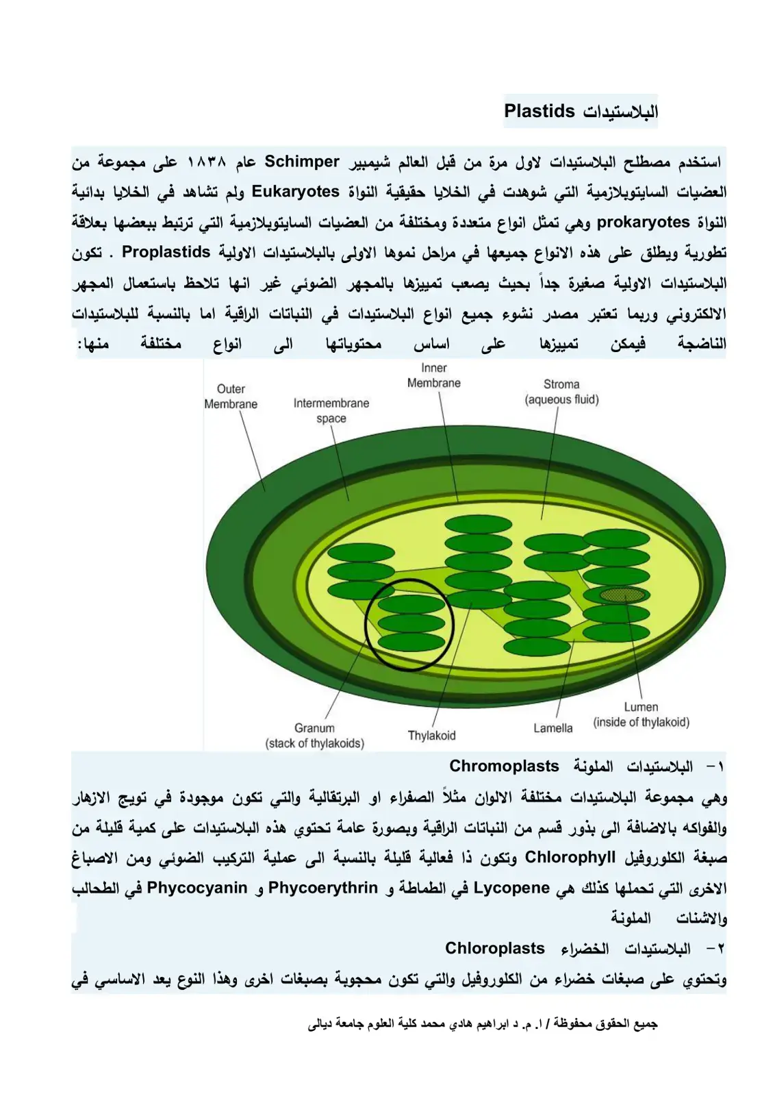 غلاف كتاب البلاستيدات (Plastids)