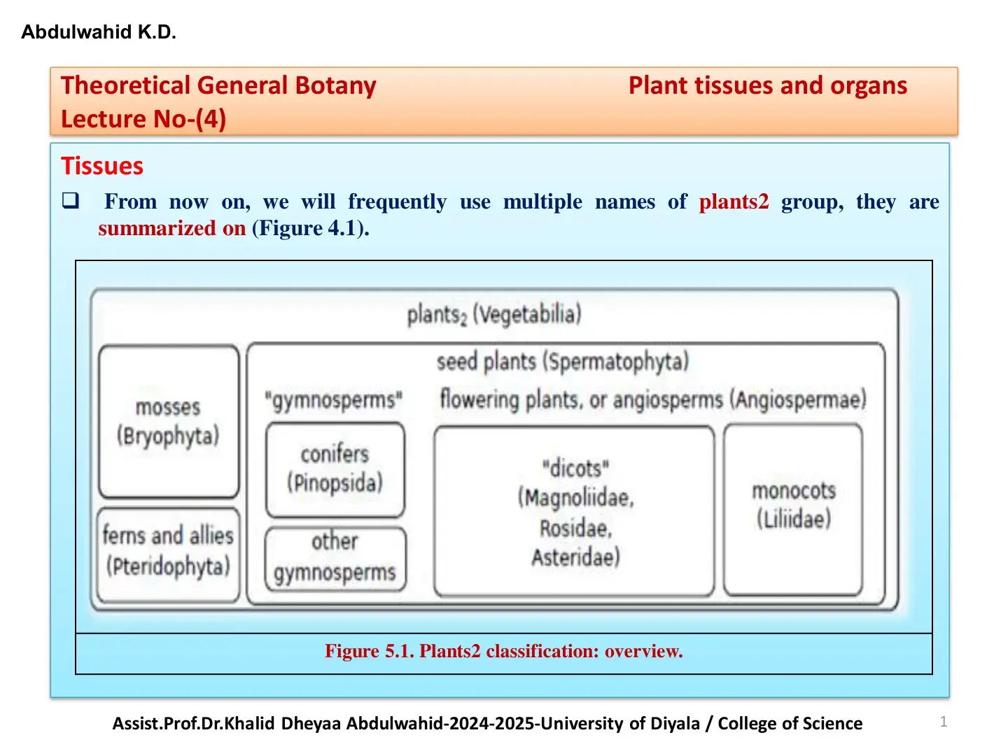 غلاف كتاب Theoretical General Botany: Lecture 4 - Tissues