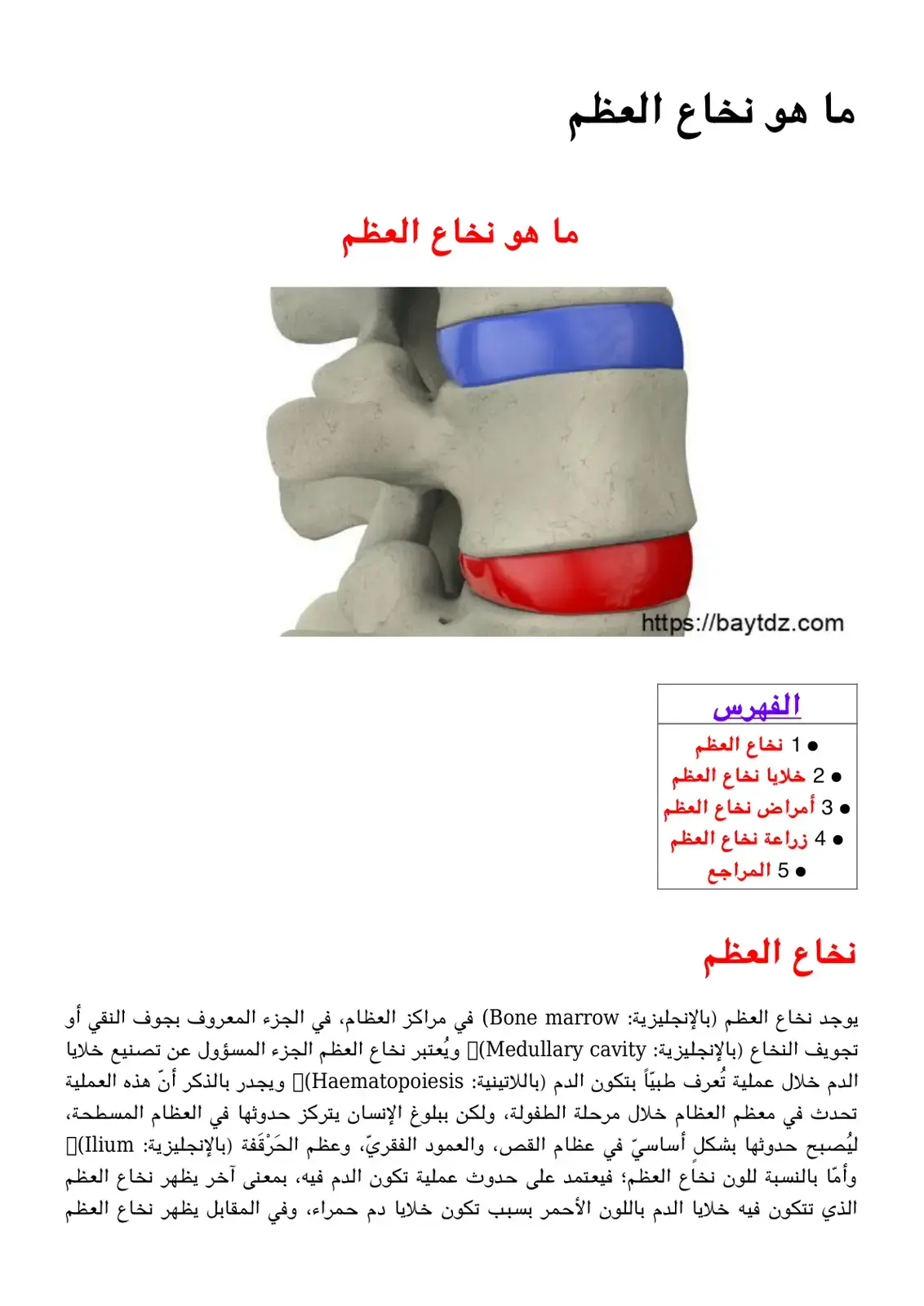 غلاف كتاب ما هو نخاع العظم
