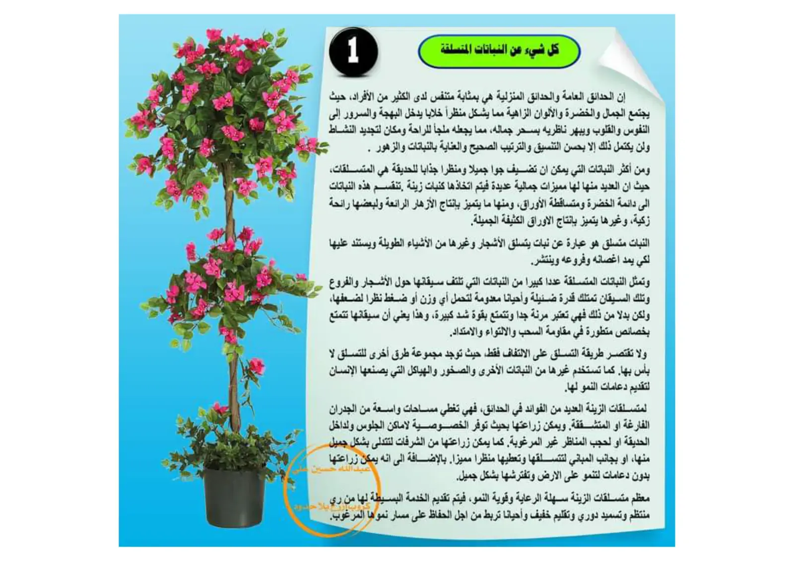 غلاف كتاب كل شيء عن النباتات المتسلقة