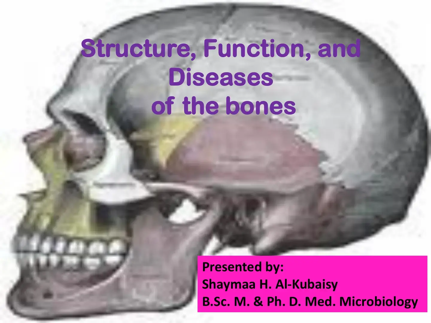 غلاف كتاب Structure, Function, and Diseases of the Bones