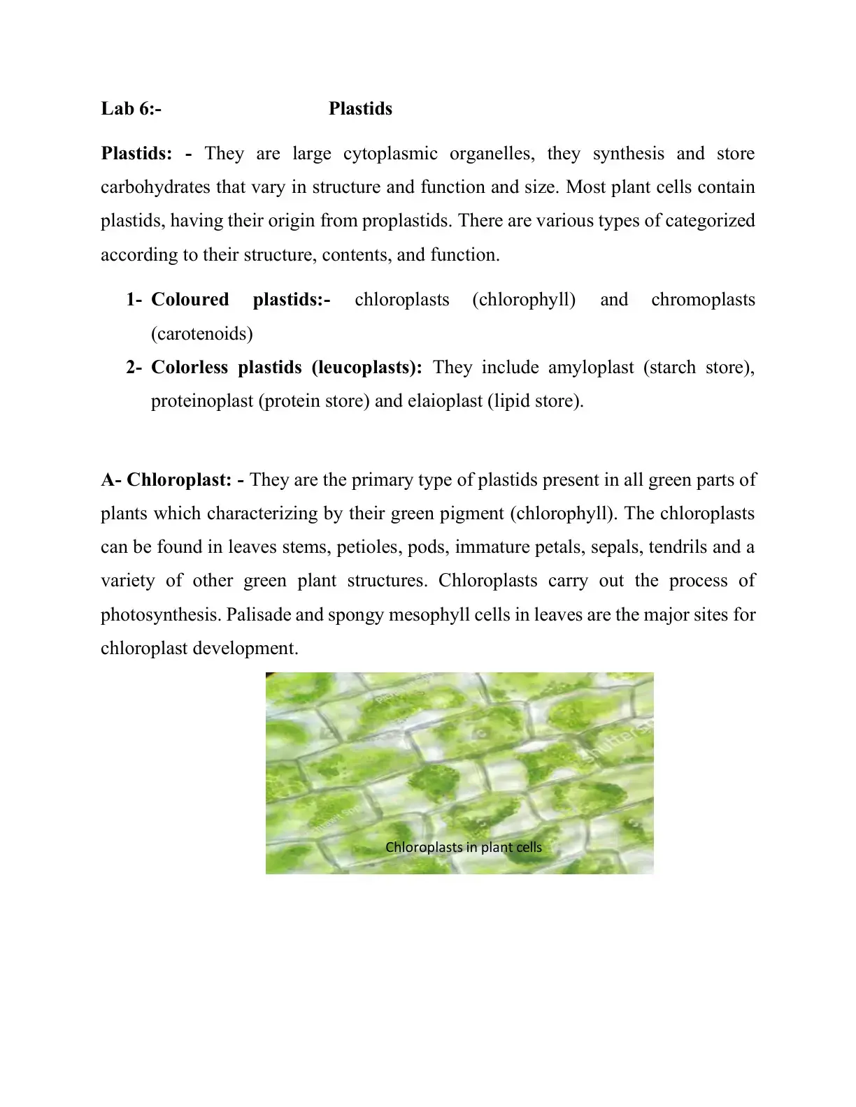 غلاف كتاب Lab 6: Plastids