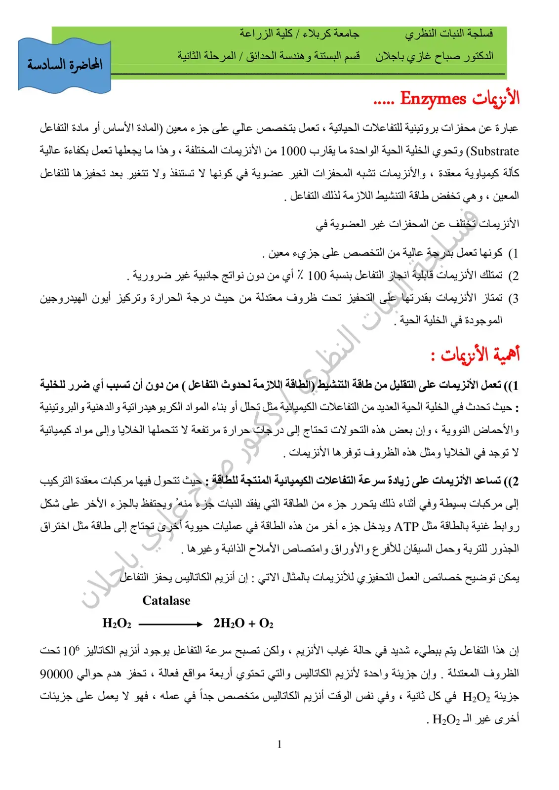 غلاف كتاب فسيولوجيا النبات النظري: الأنزيمات