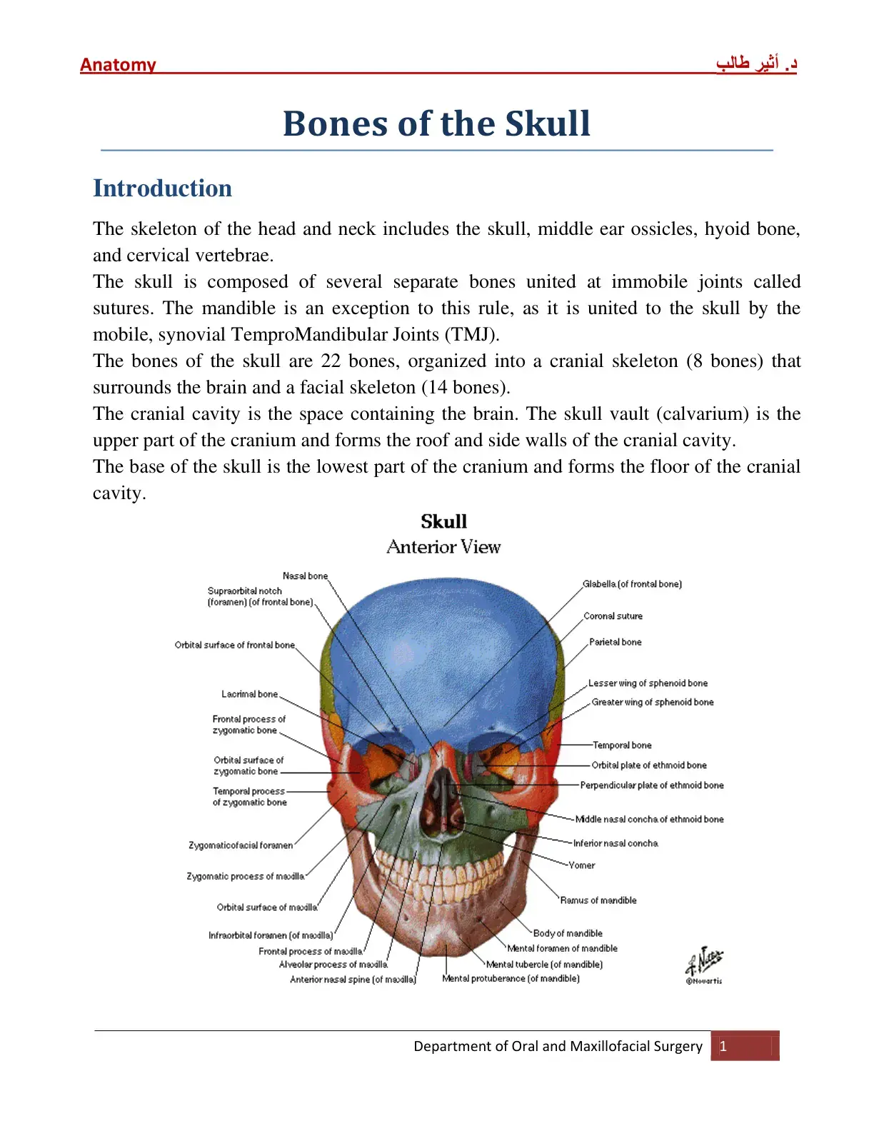 غلاف كتاب Anatomy Bones of the Skull