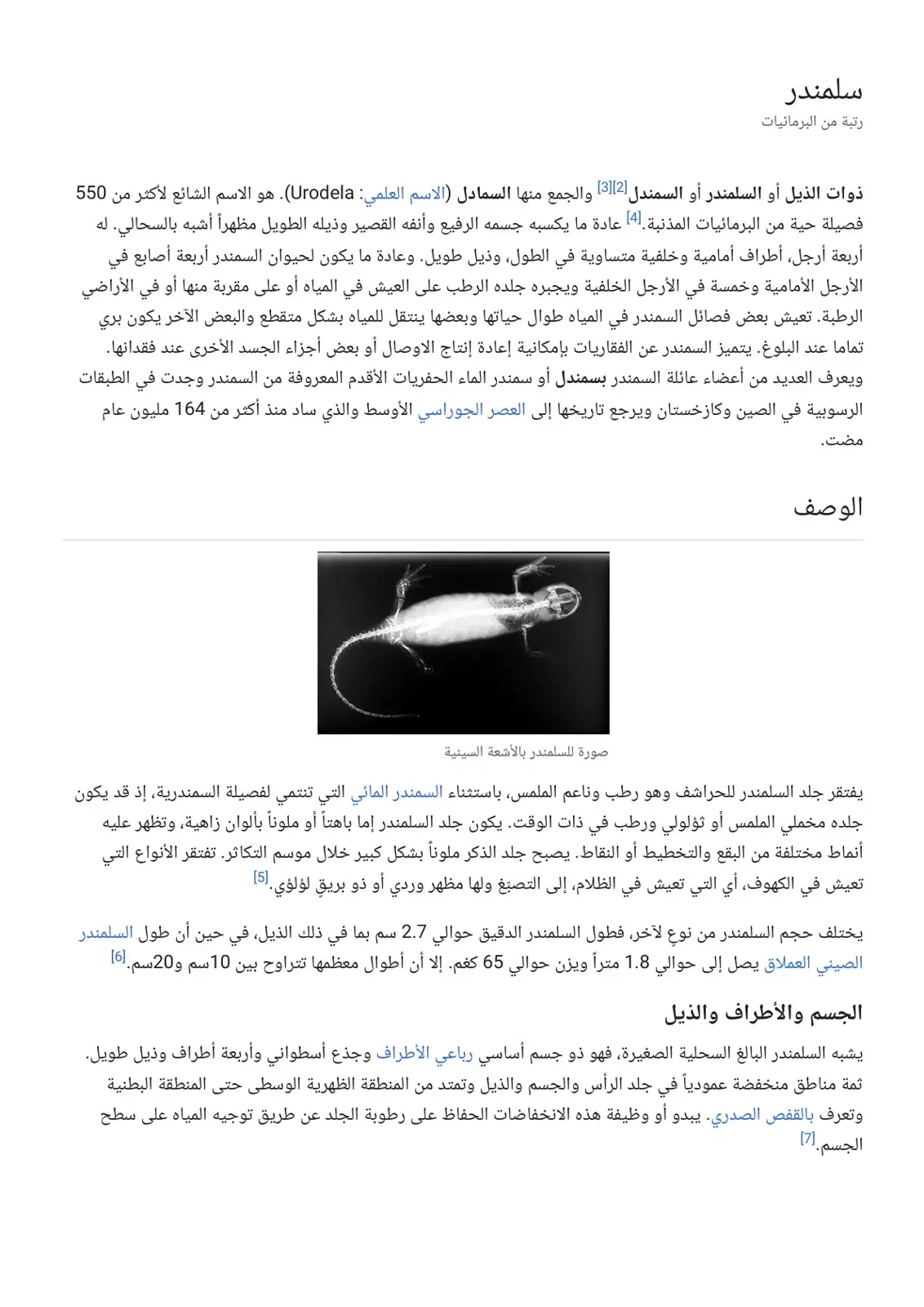 غلاف كتاب سلمندر - رتبة من البرمائيات ذوات الذيل