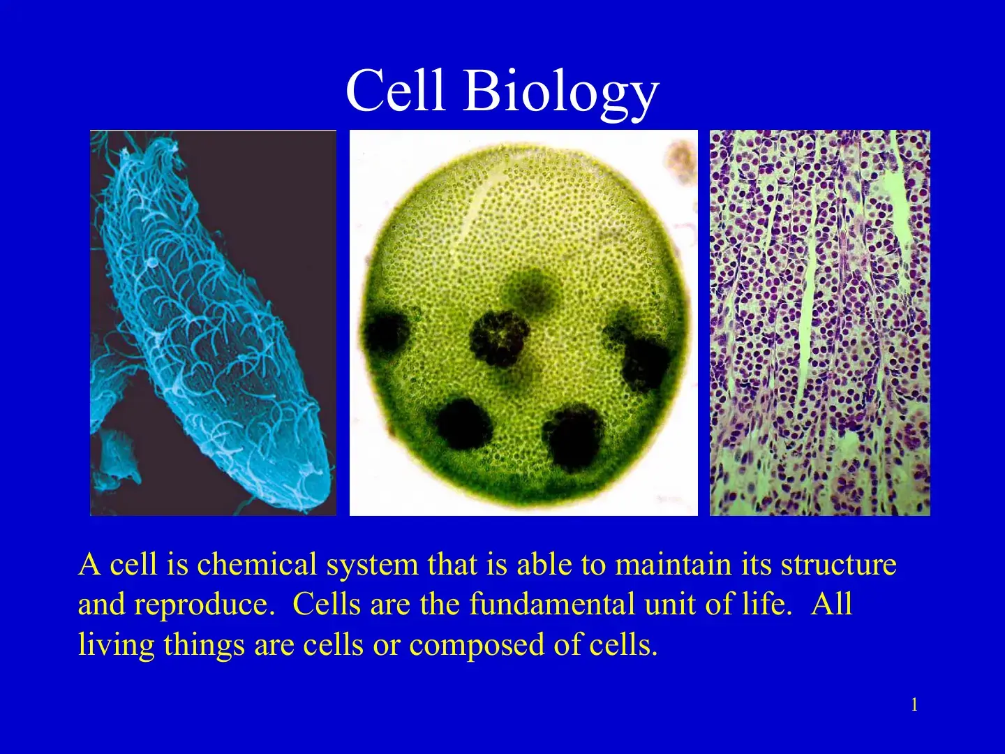 غلاف كتاب Cell Biology