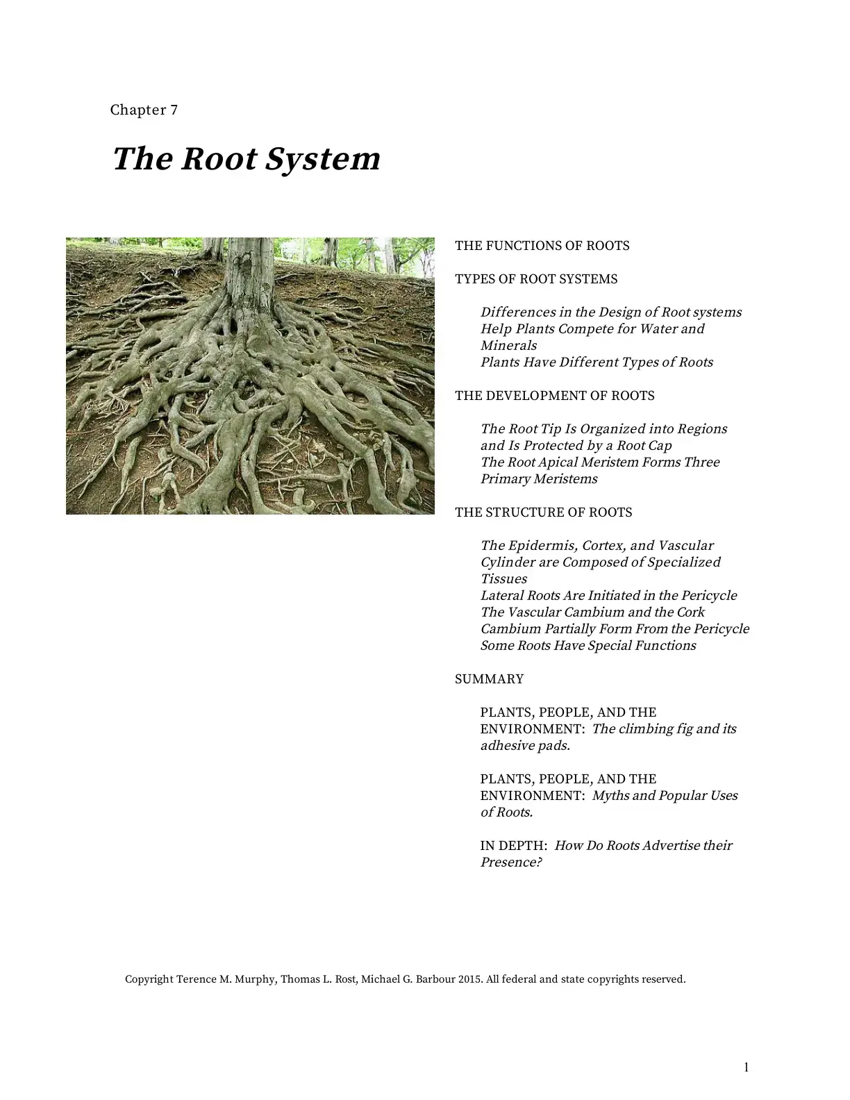 غلاف كتاب Chapter 7 The Root System