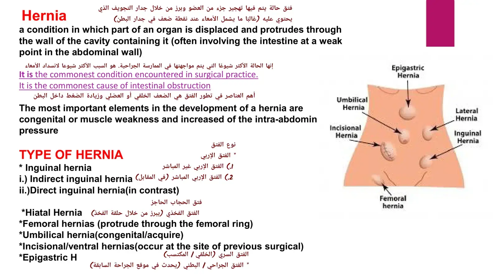 غلاف كتاب Hernia