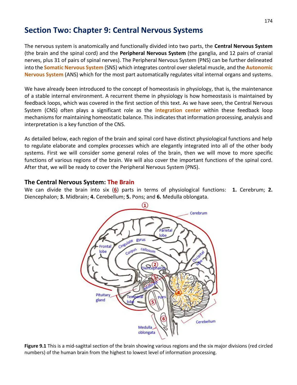 غلاف كتاب Central Nervous Systems