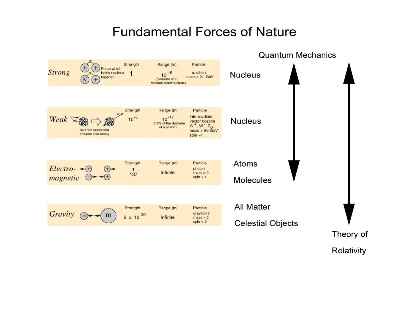 غلاف كتاب Fundamental Forces of Nature